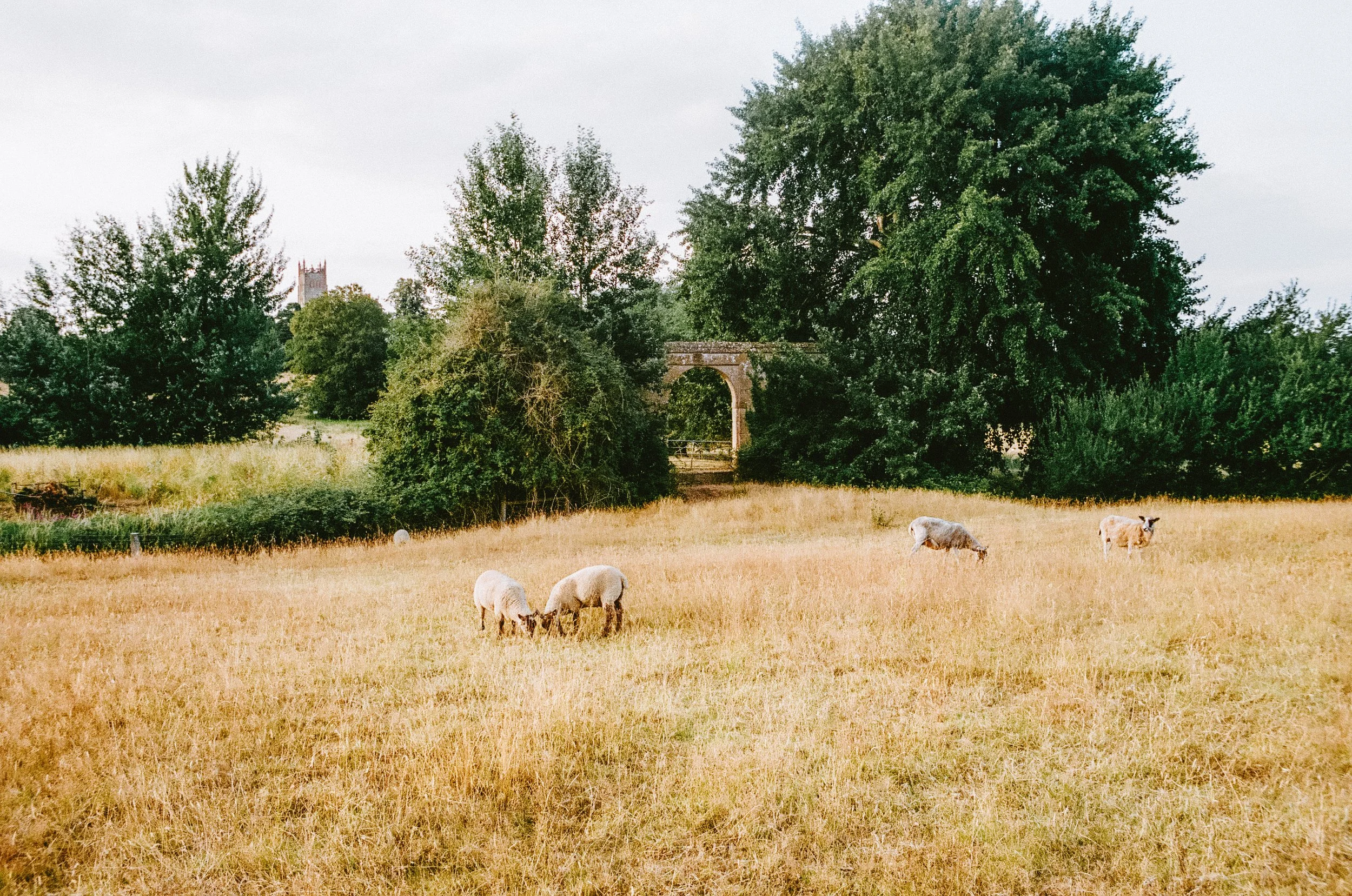 thecotswoldsonfilm2026-000588490006.jpg