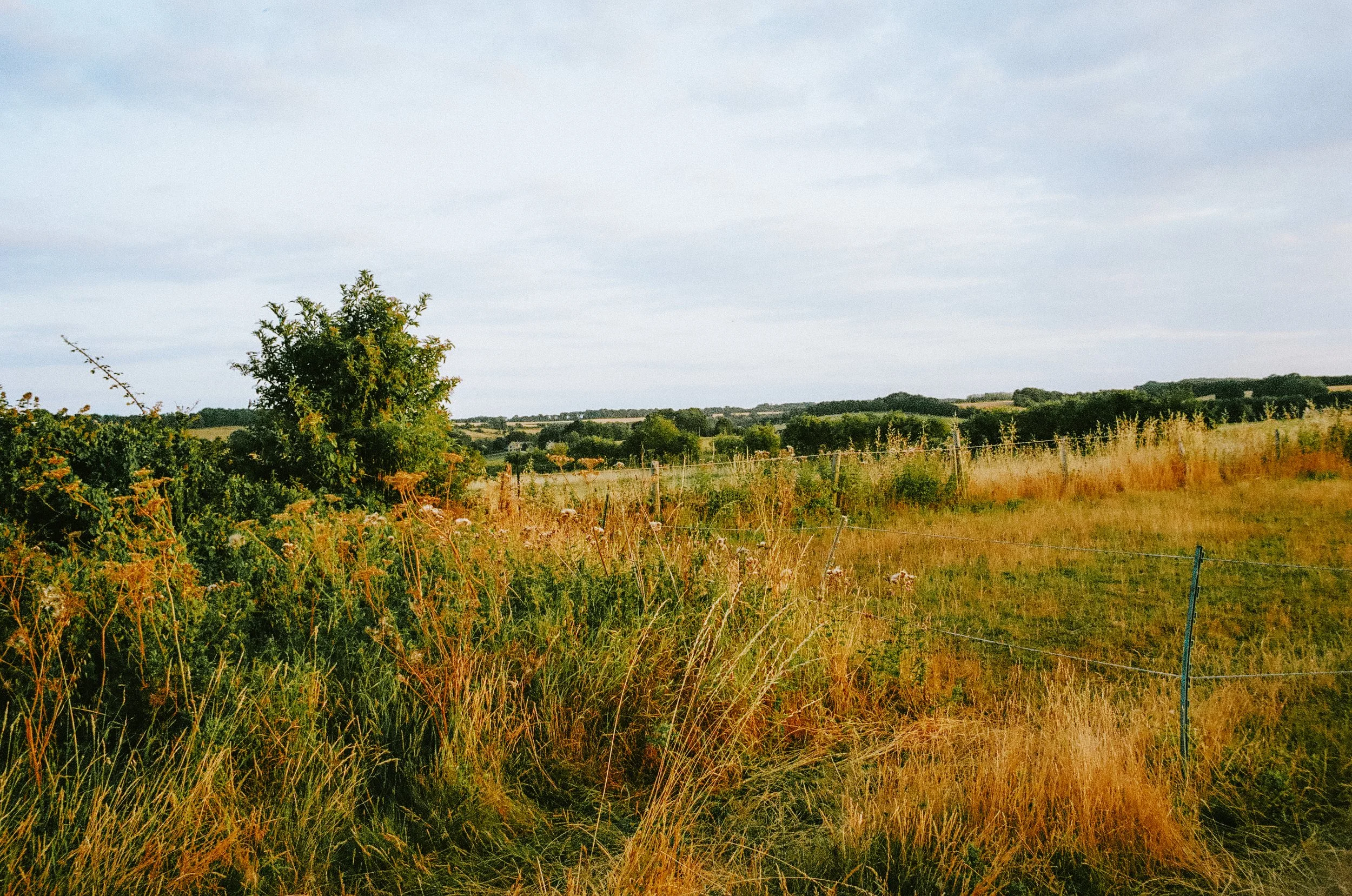 thecotswoldsonfilm2026-000588490010.jpg