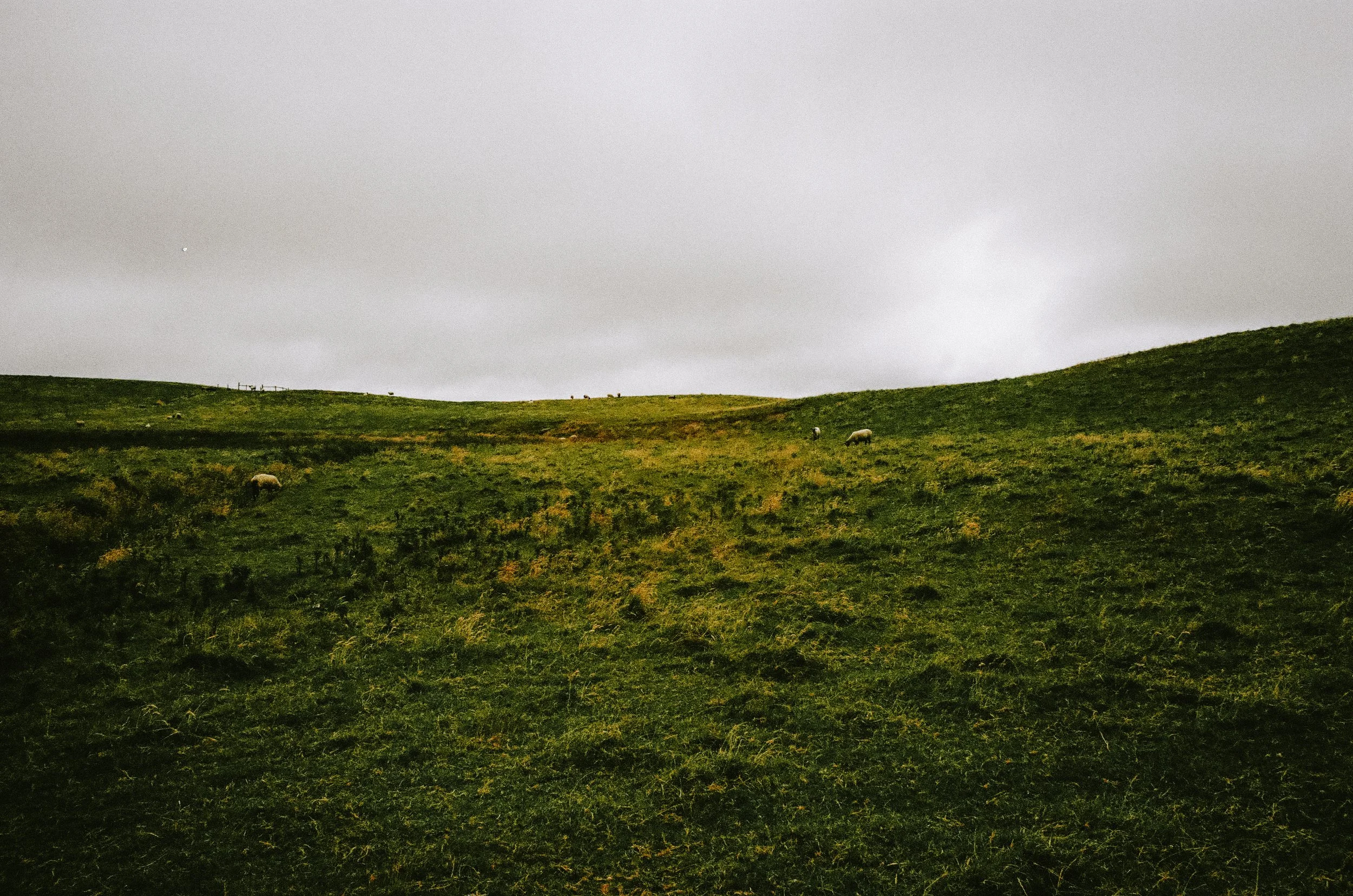 irelandonfilm2026-000752420025.jpg