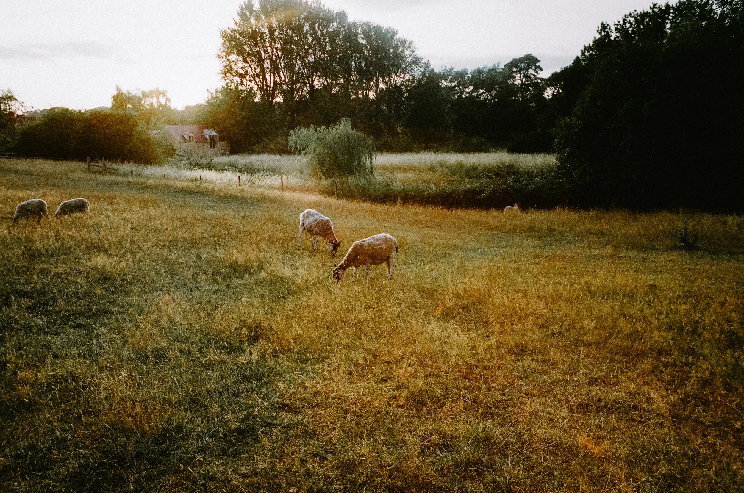 thecotswoldsonfilm2026-000588490005.jpg