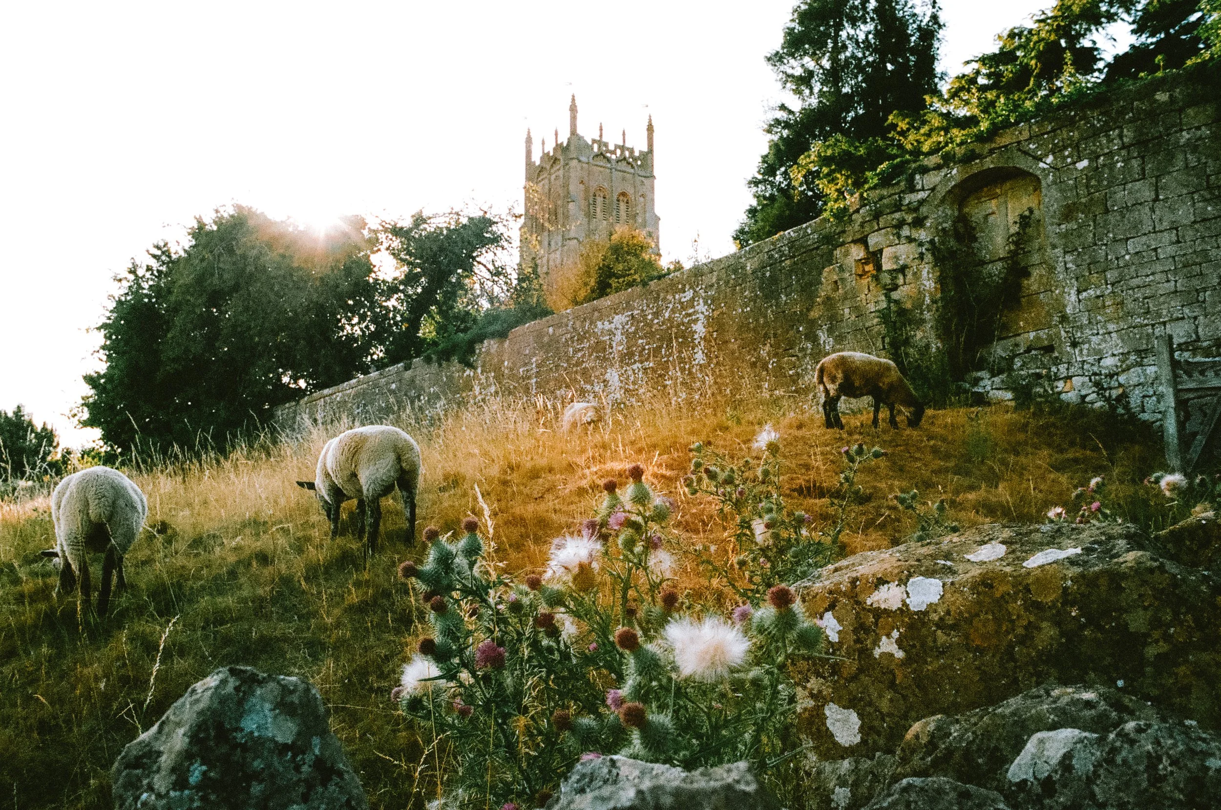 England and Ireland