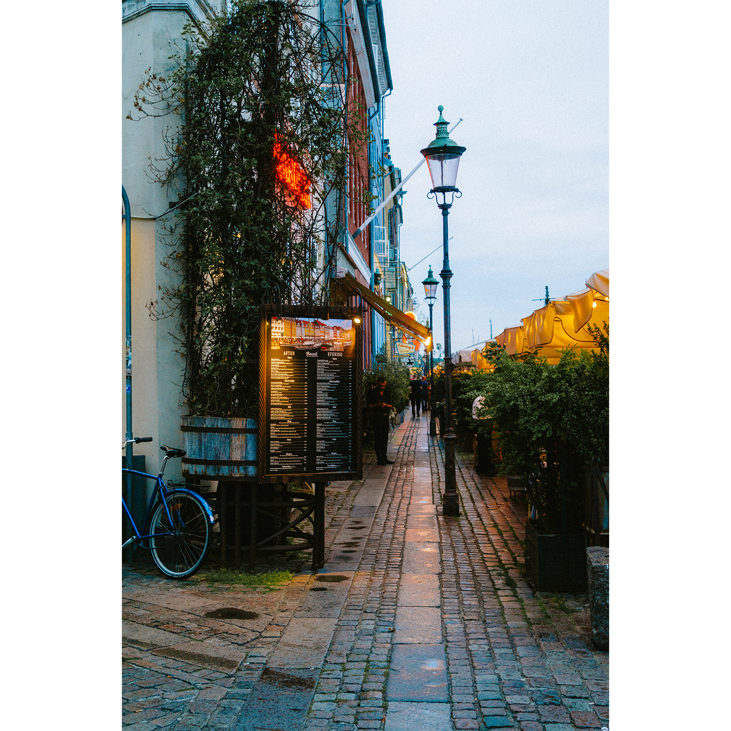 "Evening Light" Print