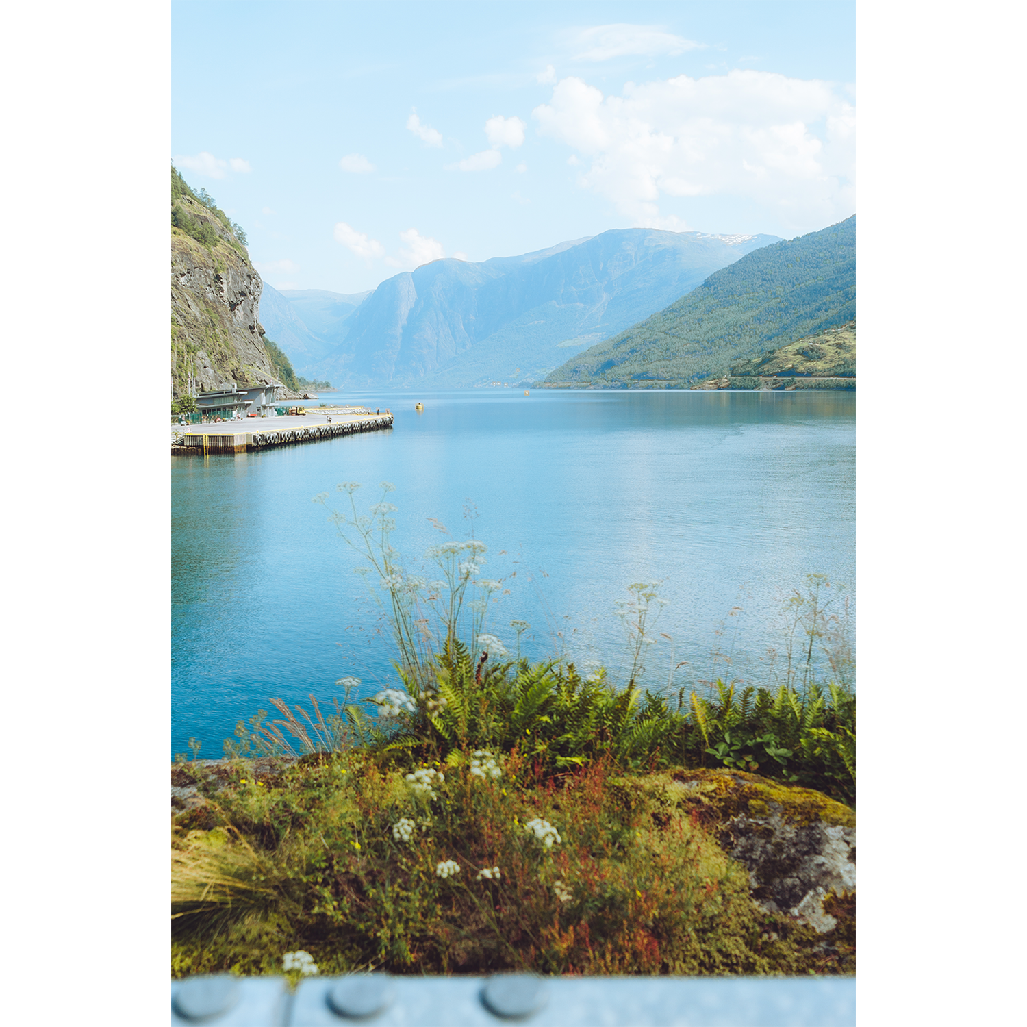 "Fjords in Bloom" Print