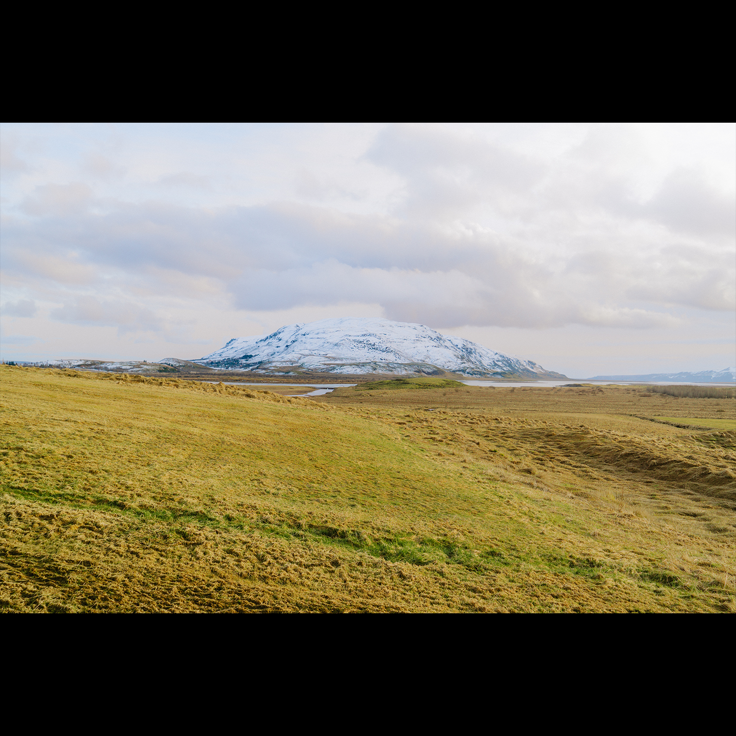 Icelandic Pastures