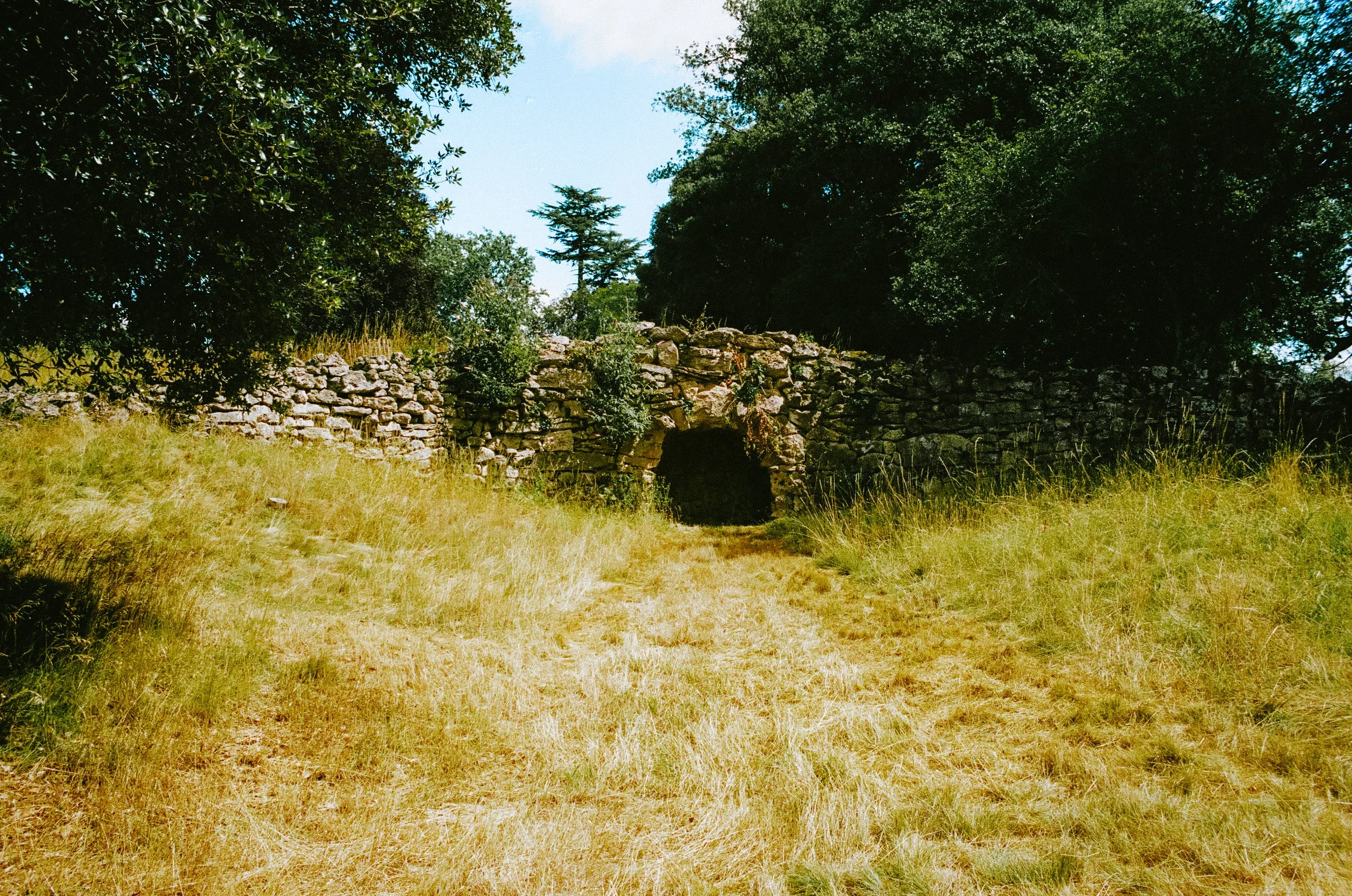 oxfordonfilm2026-000588510018.jpg