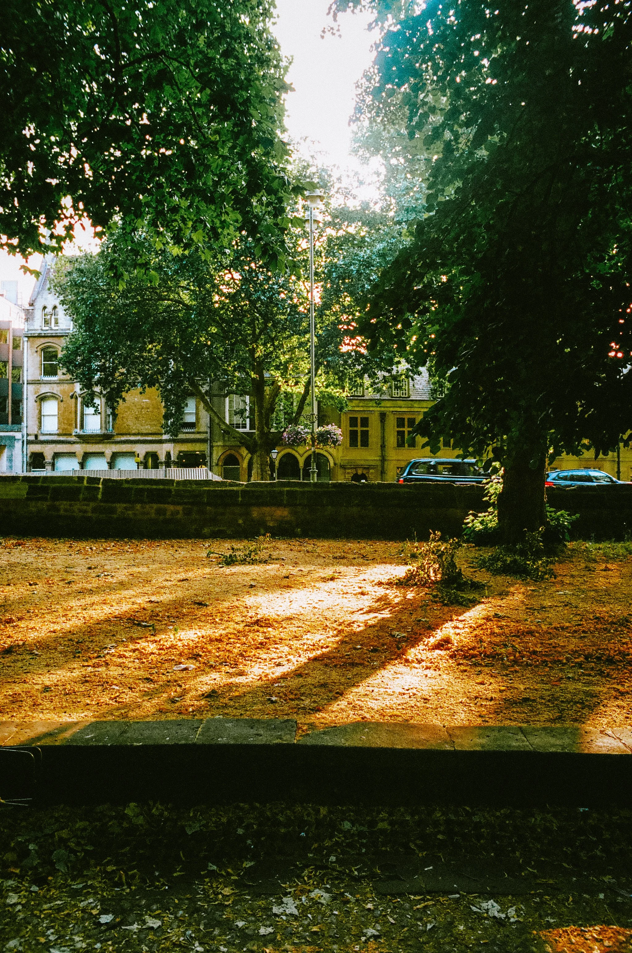 oxfordonfilm2026-000588510011.jpg