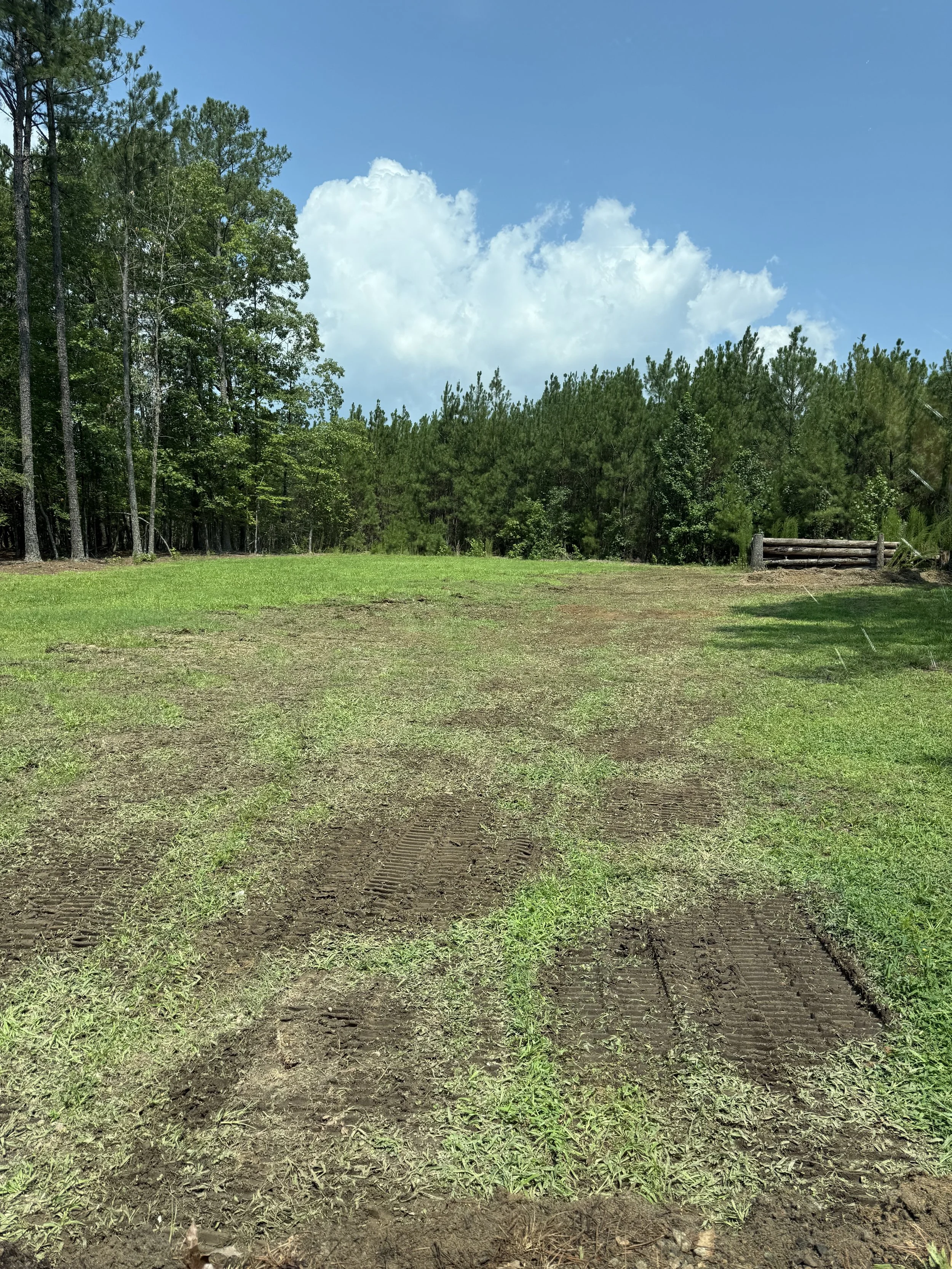 Before Yard Grading