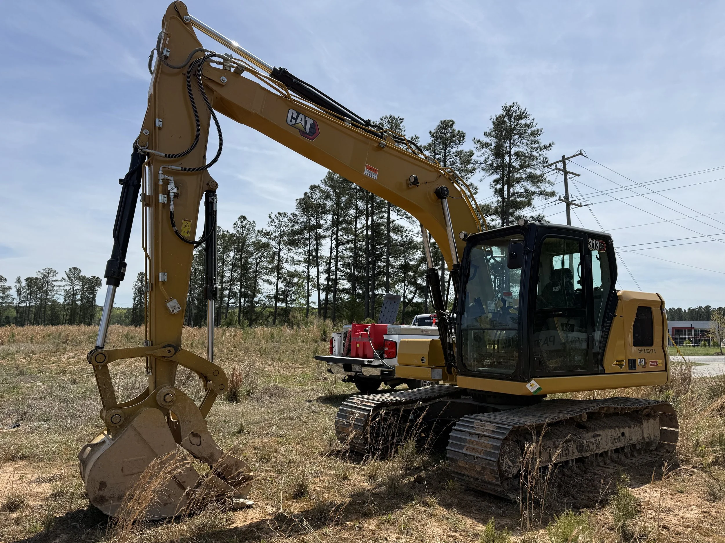 cat313sandford2.jpeg