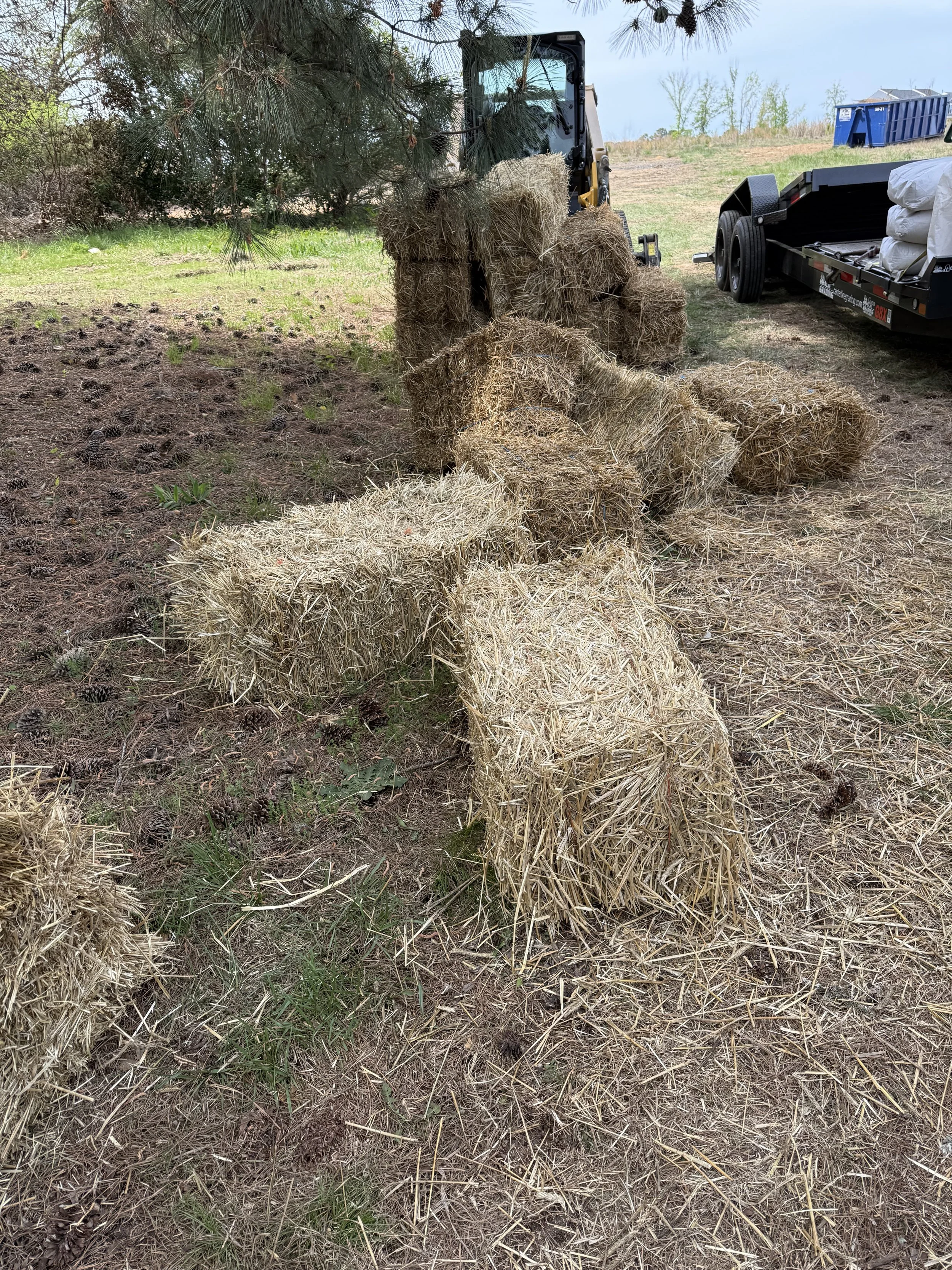 sanfordseedandstraw.jpeg