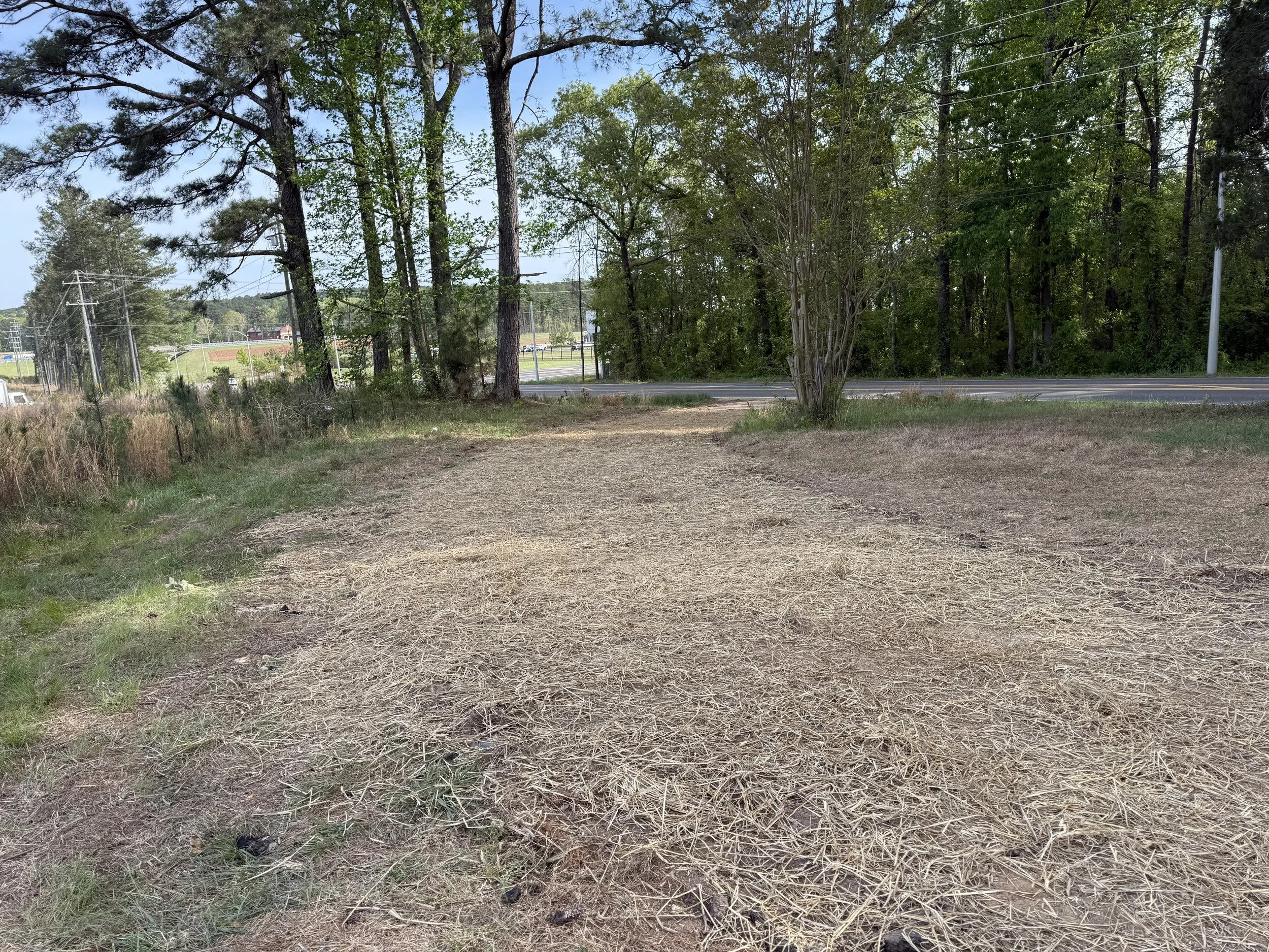 sanforddrivewayremovalseedandstraw3.jpeg