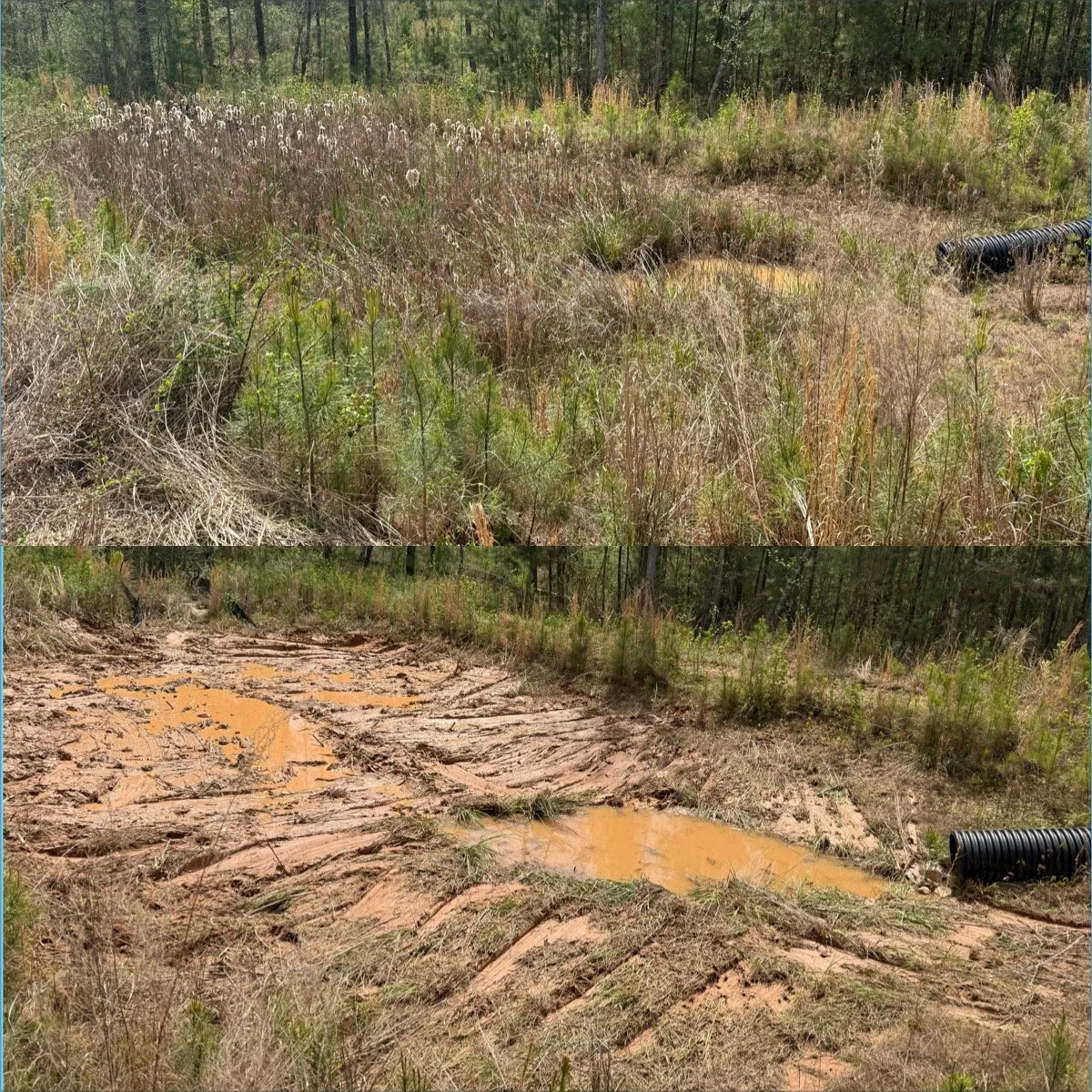 Wetland Work Pond Restoration Pond Work SCM maintenance Sediment Ponds