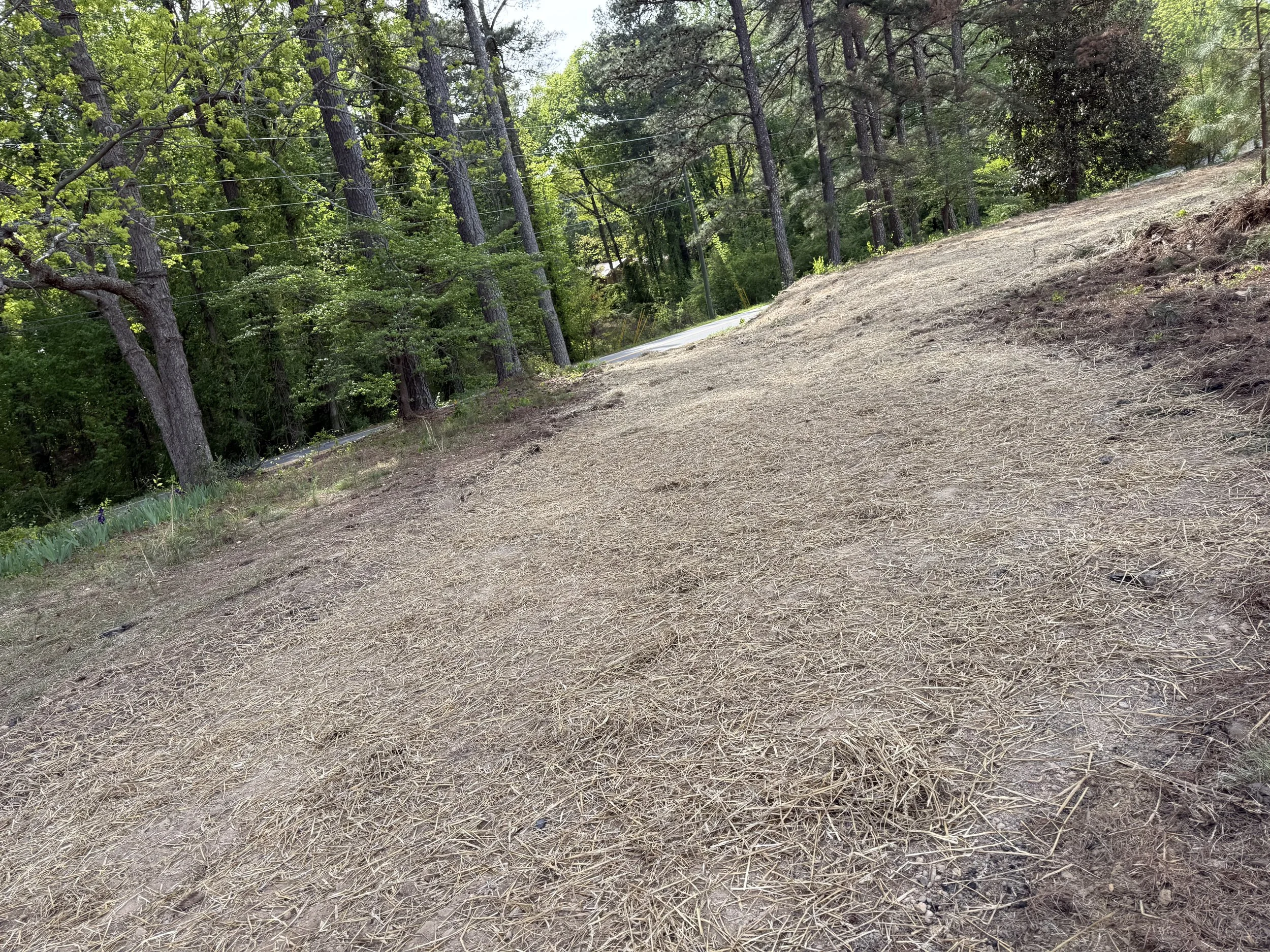sanforddrivewayremovalseedandstrawed2.jpeg