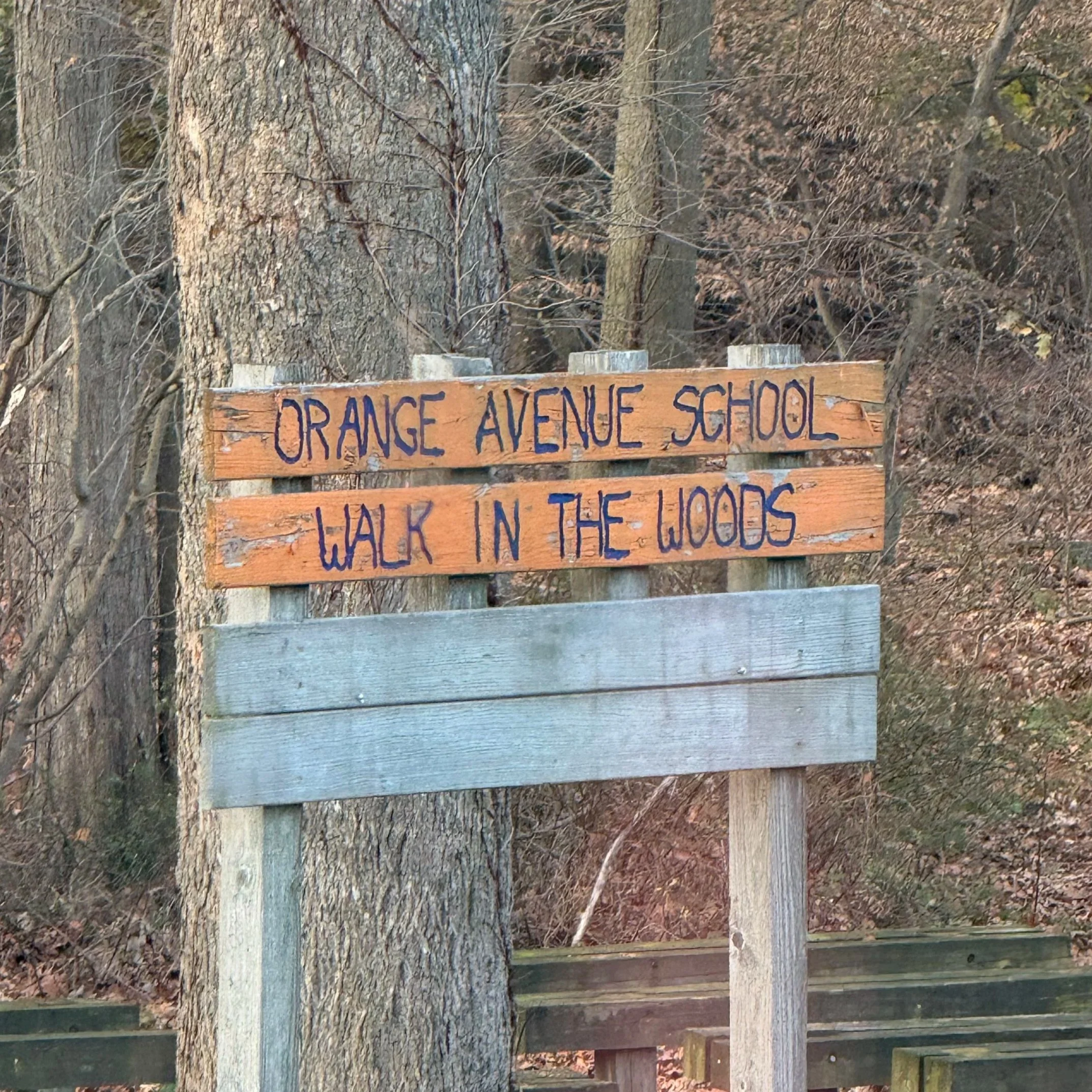 Orange Elementary School Event