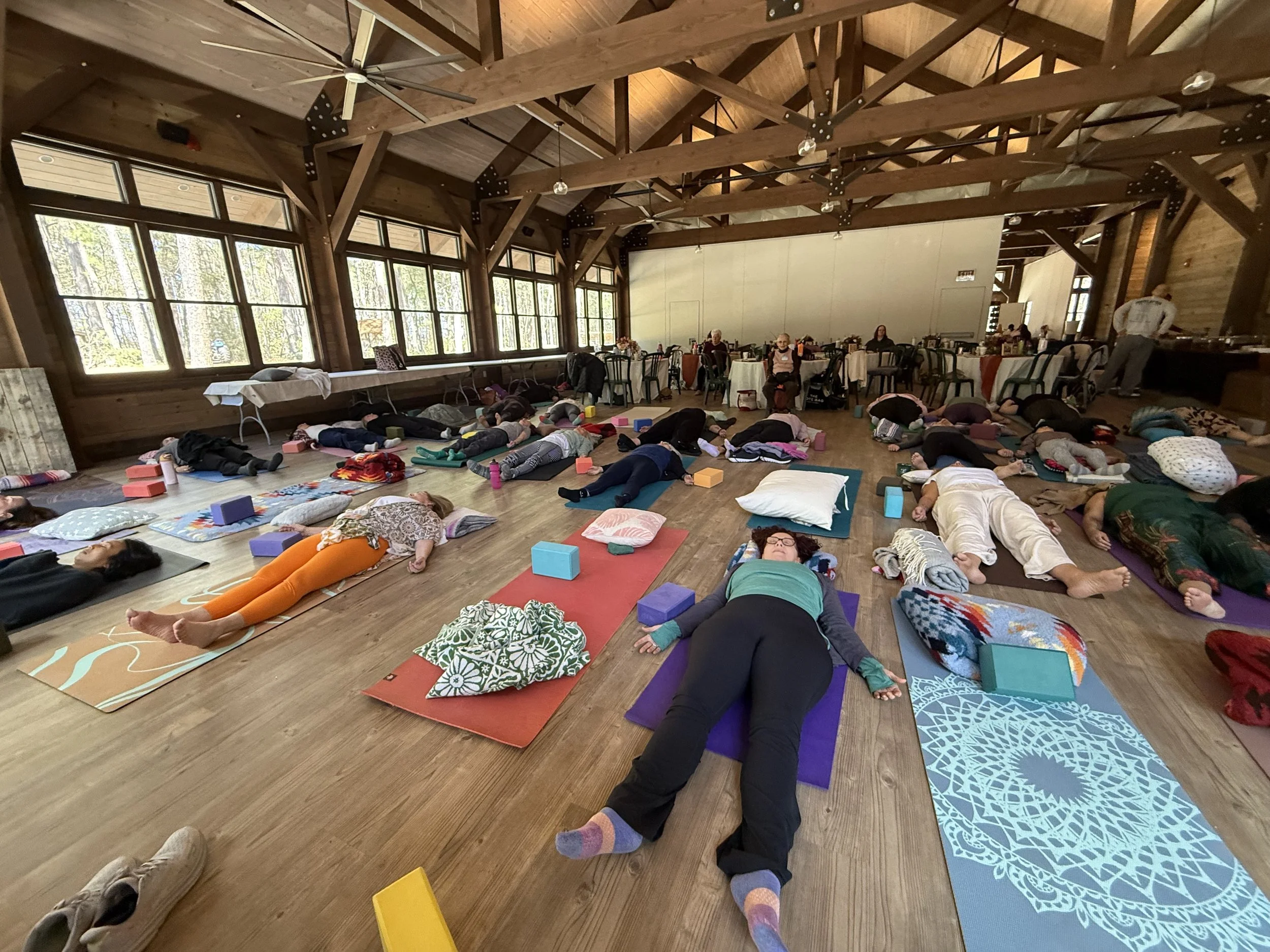 Day Retreaters in savasana. 