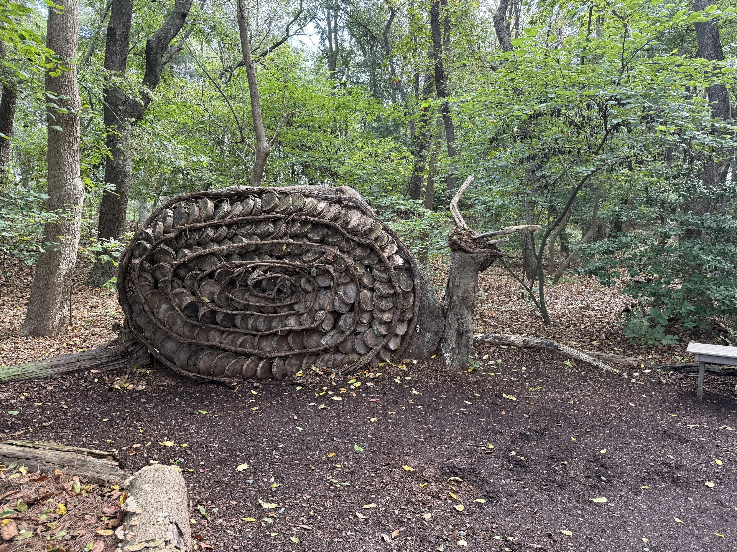 Snails in the forest! 