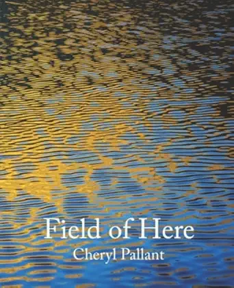 Field of Here