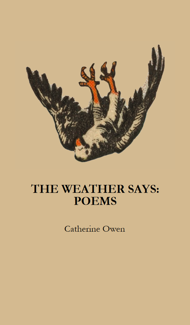 005: The Weather Says by Catherine Owen