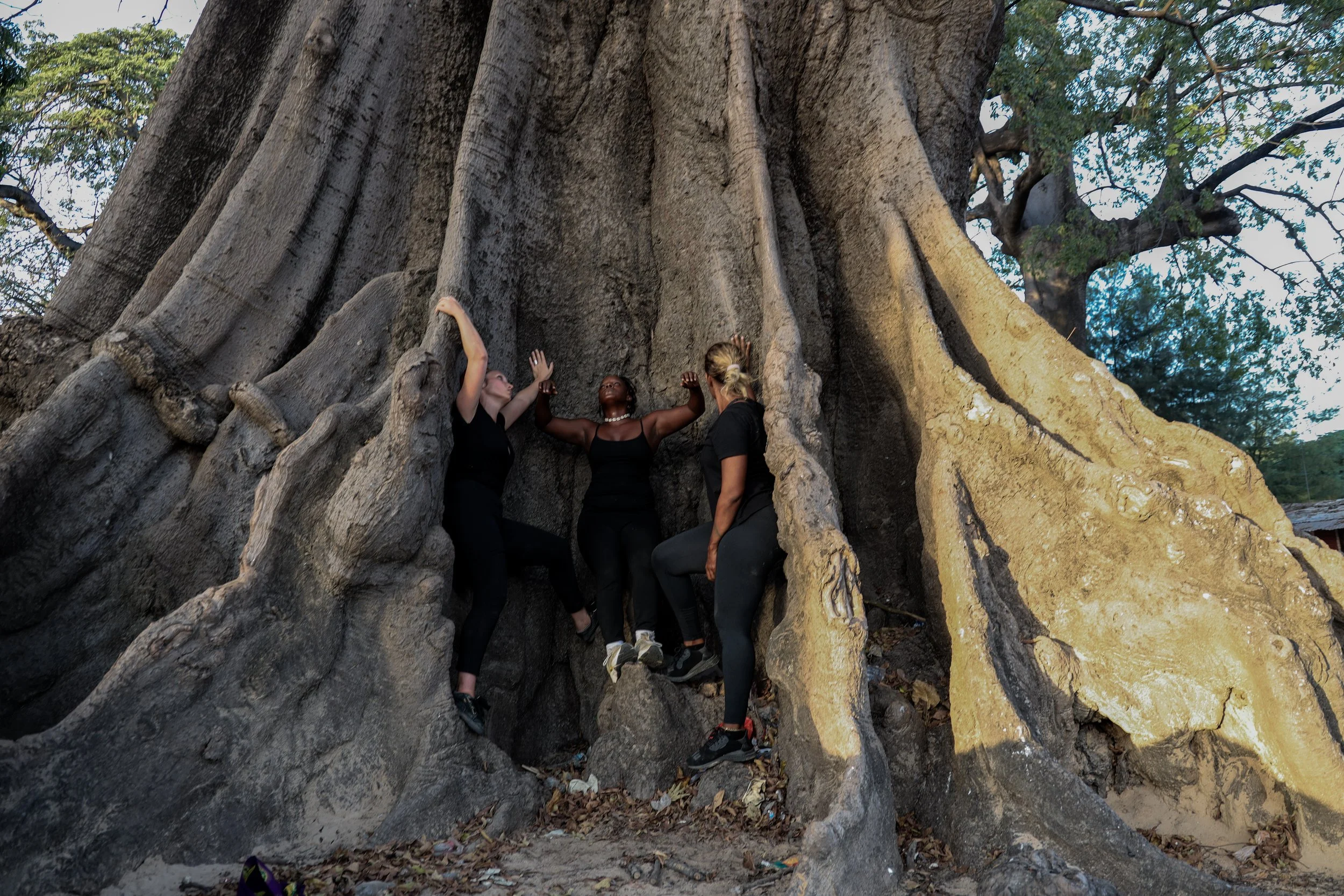 CAILLOU, DIEMBEREING 2022.JPG