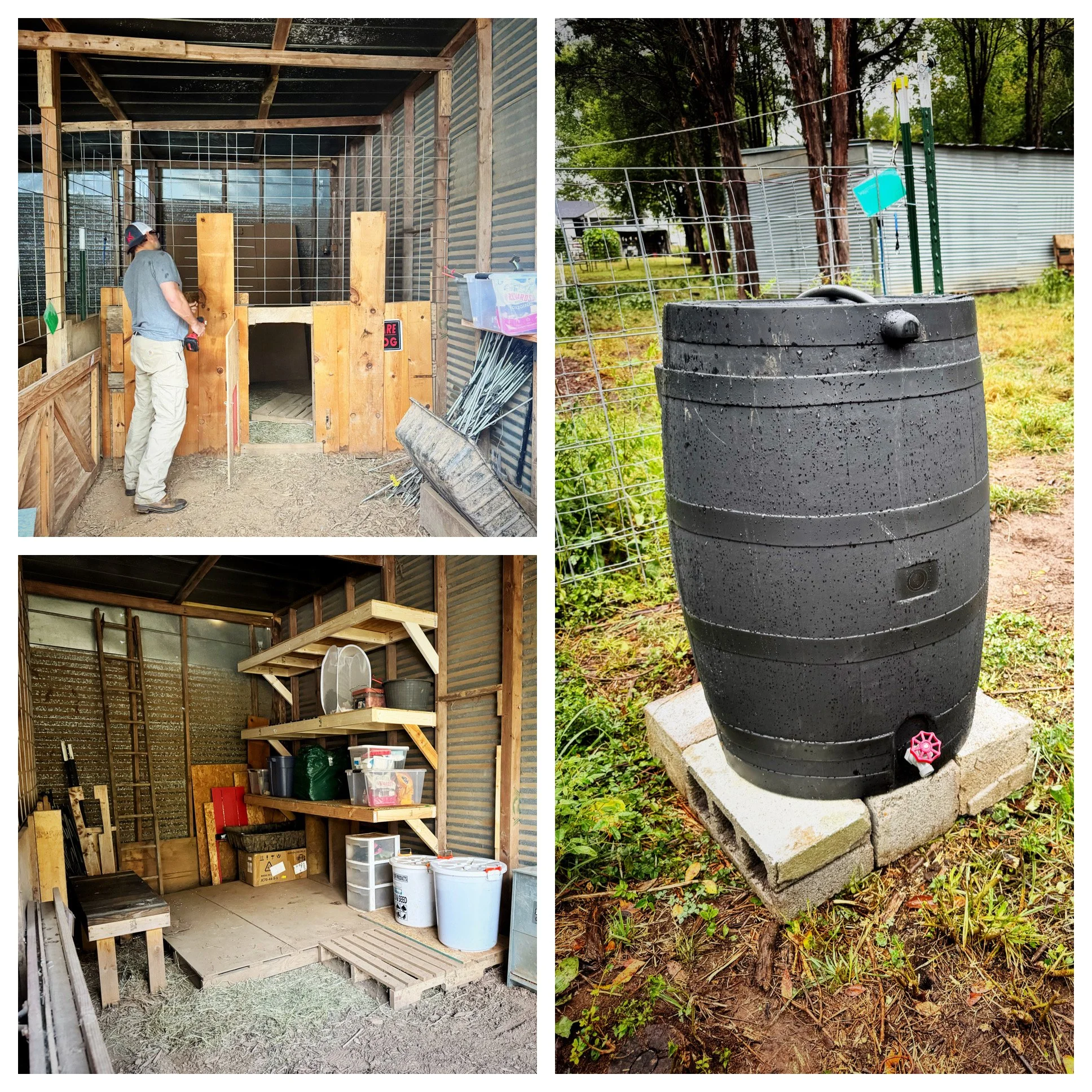 Volunteer Work Day