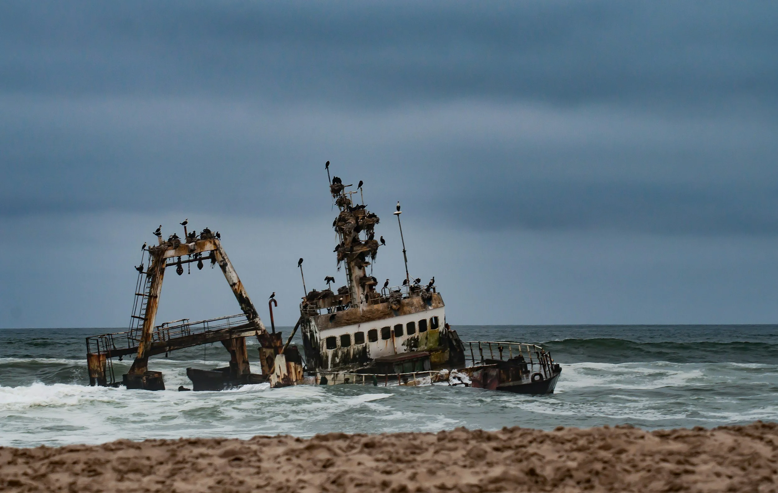 A rusted, abandoned shipwreck partially submerged in the ocean near a sandy beach, with several seabirds perched on it and dark, cloudy skies overhead.