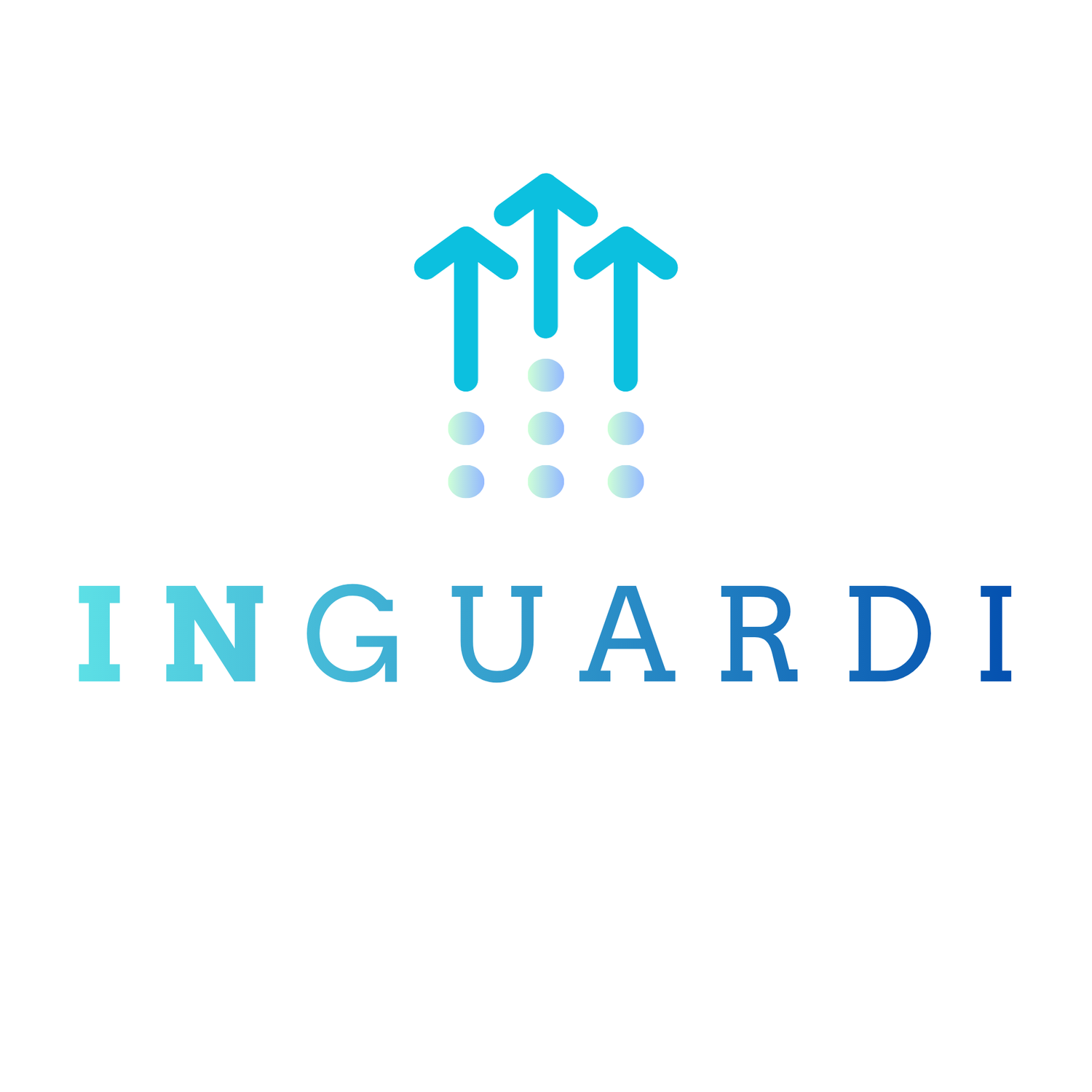 Inguardi  |  Partner-Led Growth Operator
