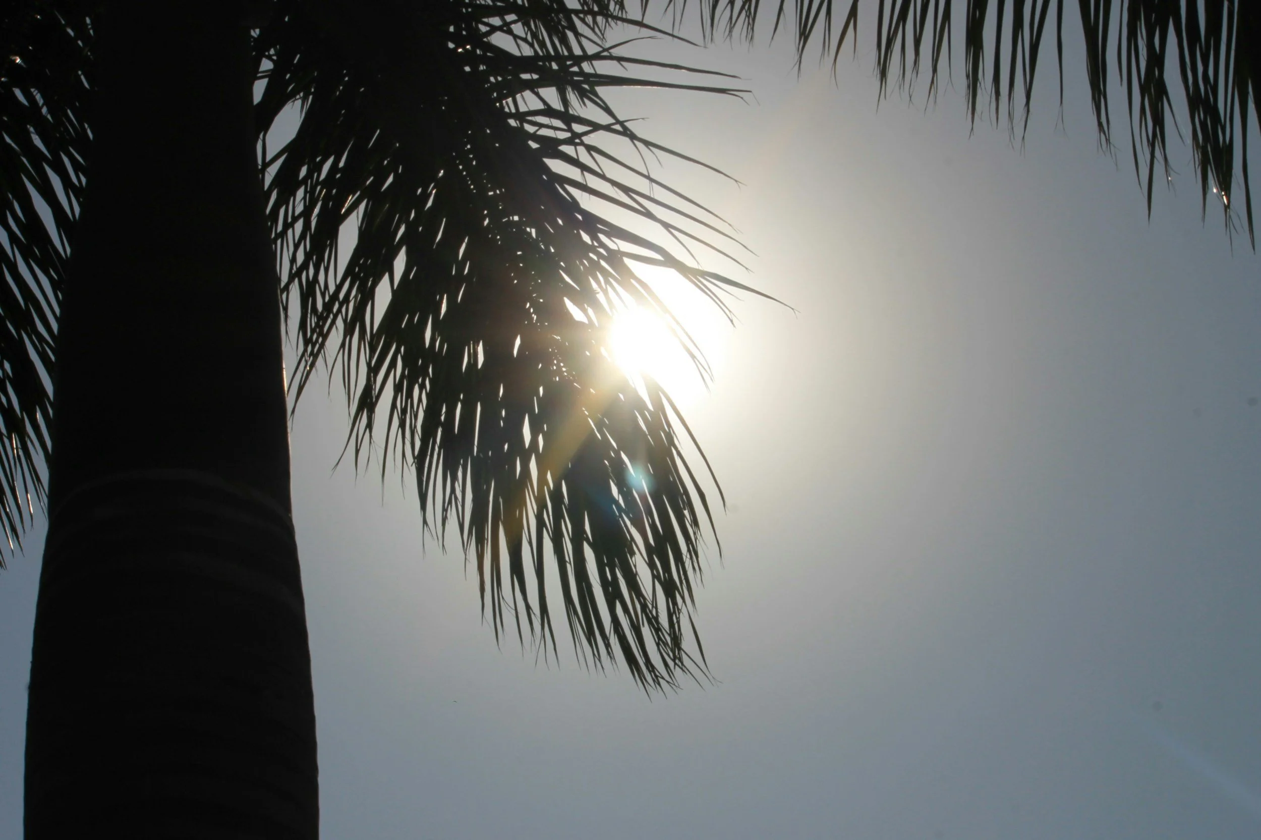 The South Florida Guide to Looking Fresh in the Heat & Humidity
