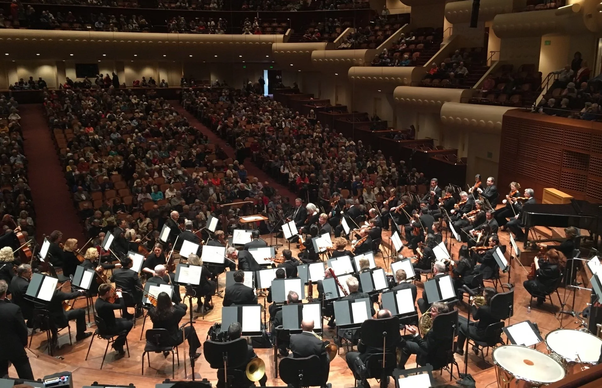 symphony musicians