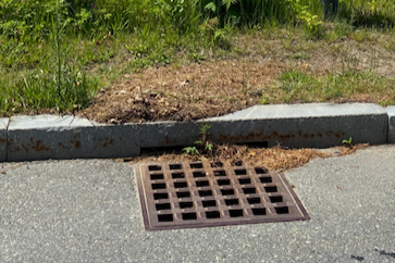 Don't Let Waquoit Bay Go Down the Drain!