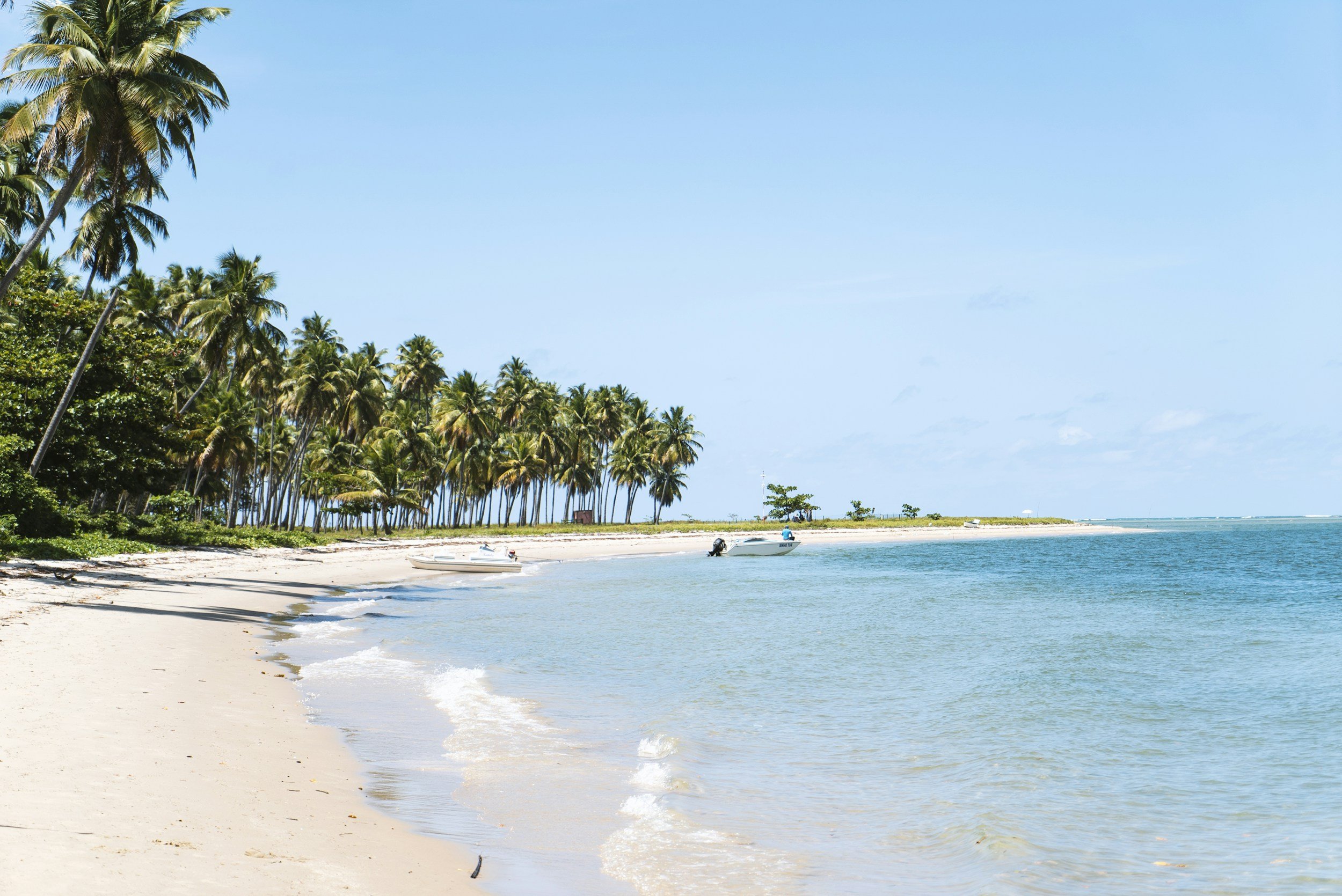 A deserted beach with trees along the shoreline
