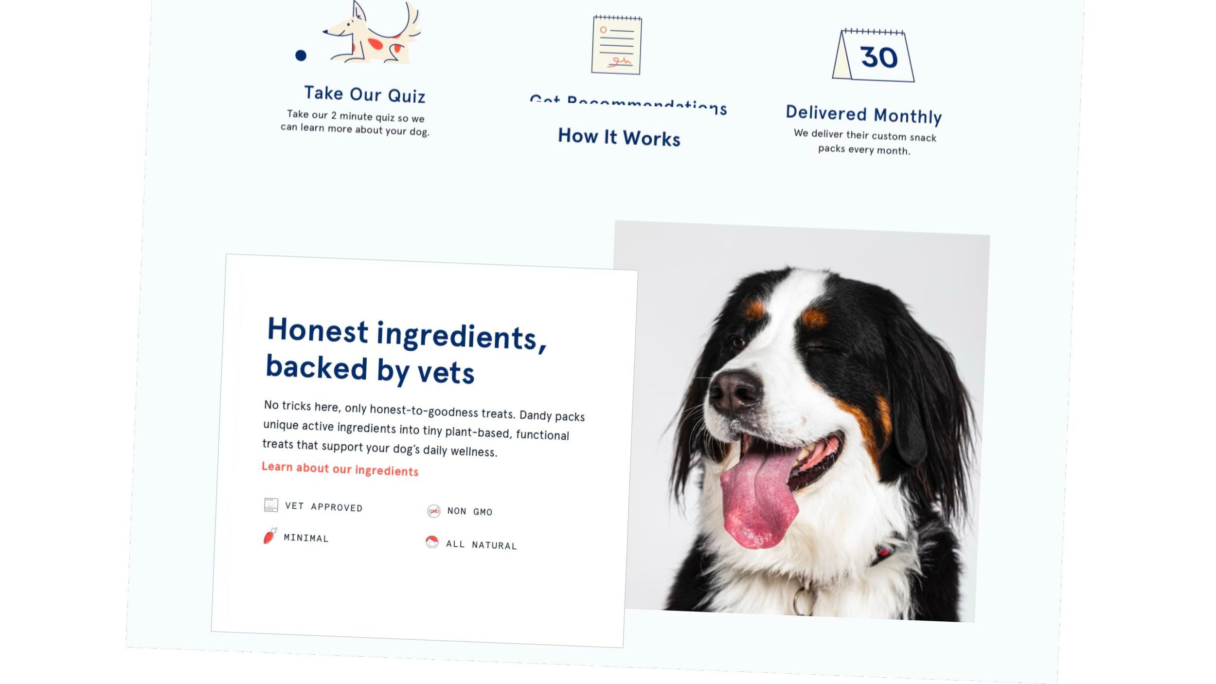 Pet Food Startup