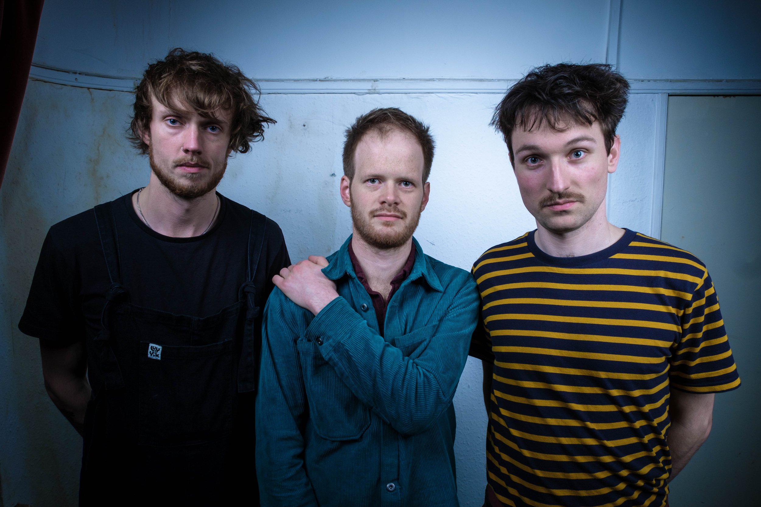 Taupe | Star and Shadow Cinema