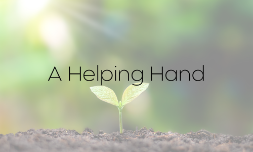 Small plant seedling sprouting from soil with the text 'A Helping Hand' over a blurred green background.