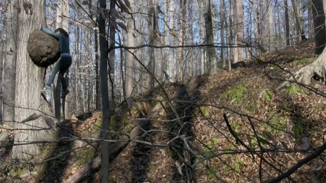 Pocahontas State Park Series