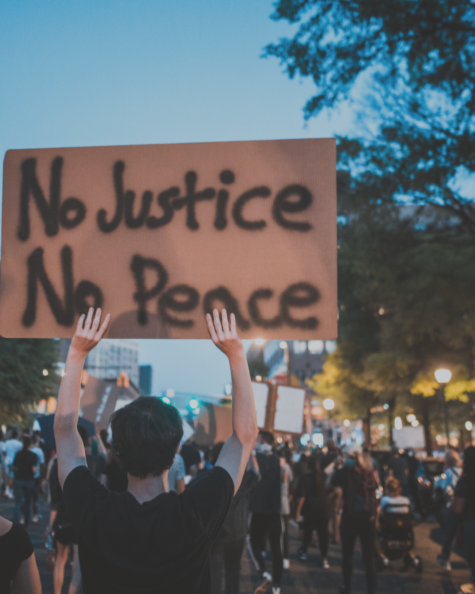 The Laity Doth Protest: the Balance Between Mindfulness and Activism