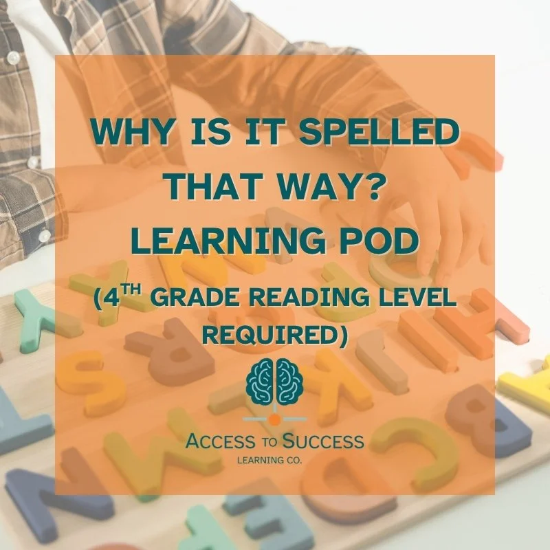 Elementary Spelling Class