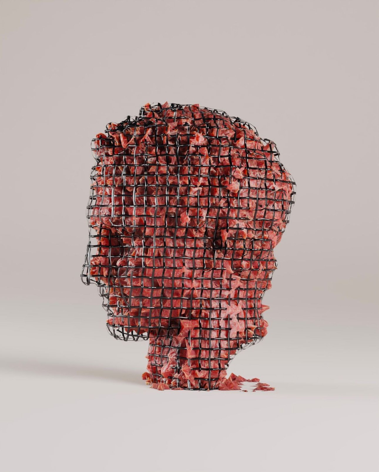 The Carnivorous Vegan