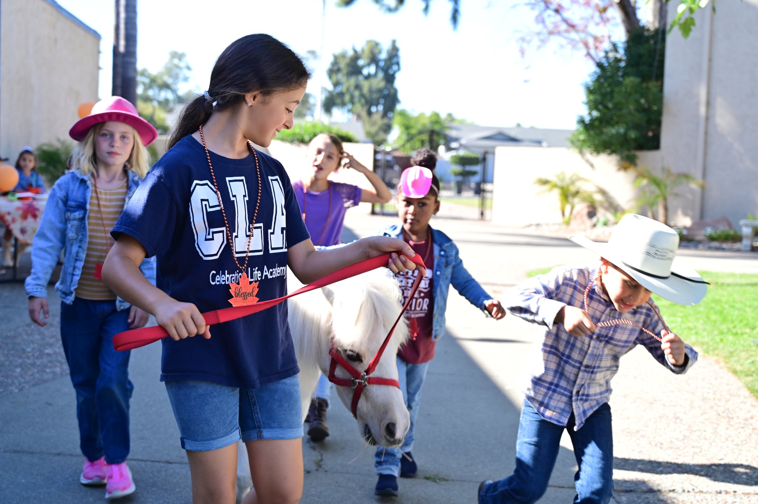 Group of children at a birthday party, some wearing hats, walking a small white pony on a lead outside on a sunny day.