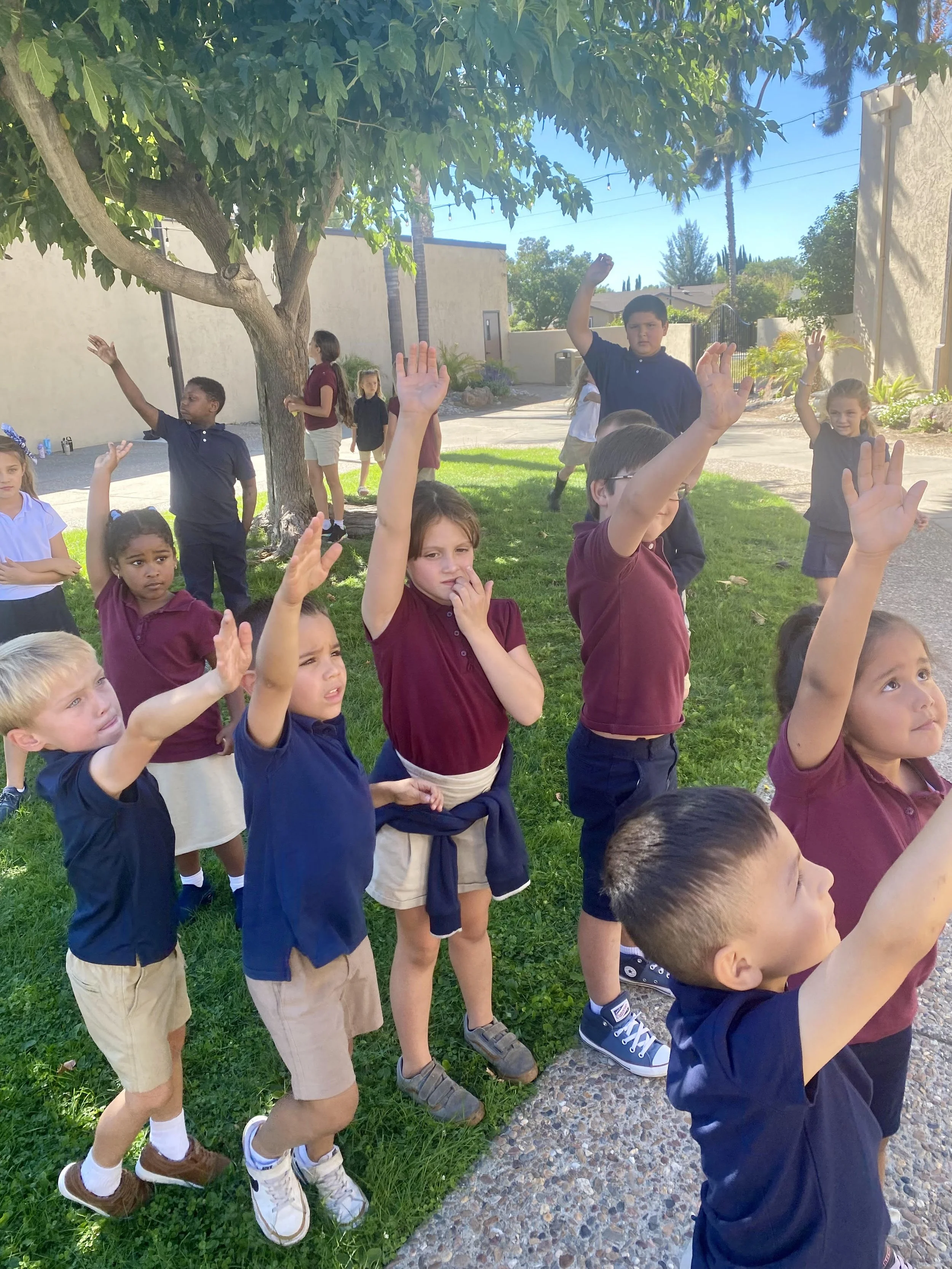 Group of school children standing outdoors under a tree, raising their hands on a sunny day.