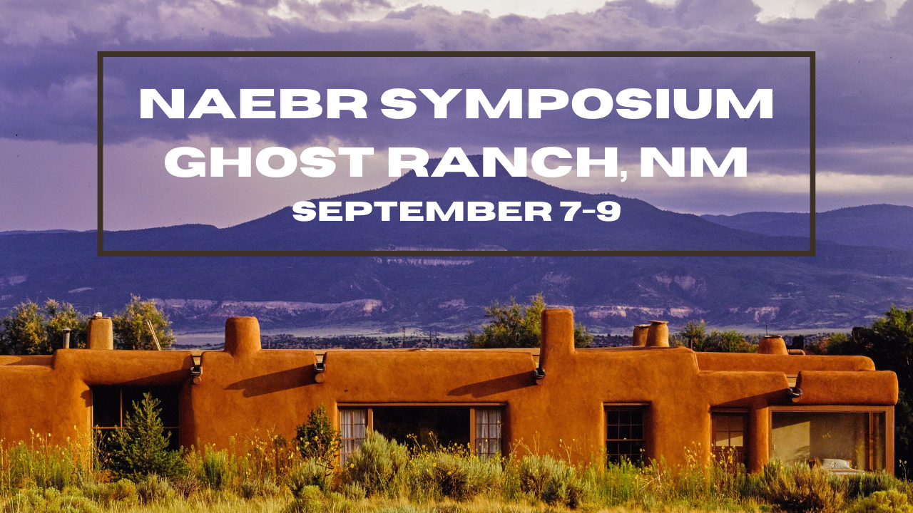 NAEBR Symposium: Resource Conscious Construction with Cillian Barrett