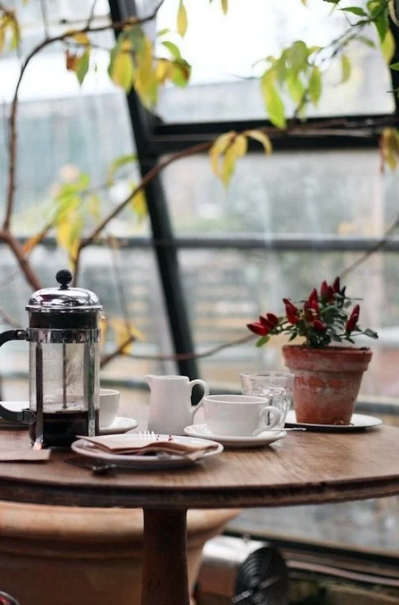 A French press coffee maker, white cups and saucers, a small pitcher, a glass, a spoon, and a potted plant with red flowers on a wooden table against a window with leaves and branches outside.