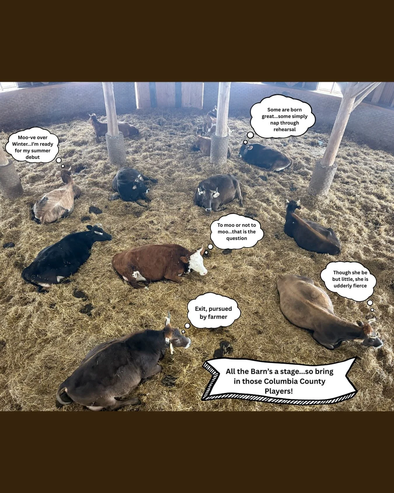 The cows are Moooooo-ving out&hellip;which means it&rsquo;s almost our turn to move in! ☀️