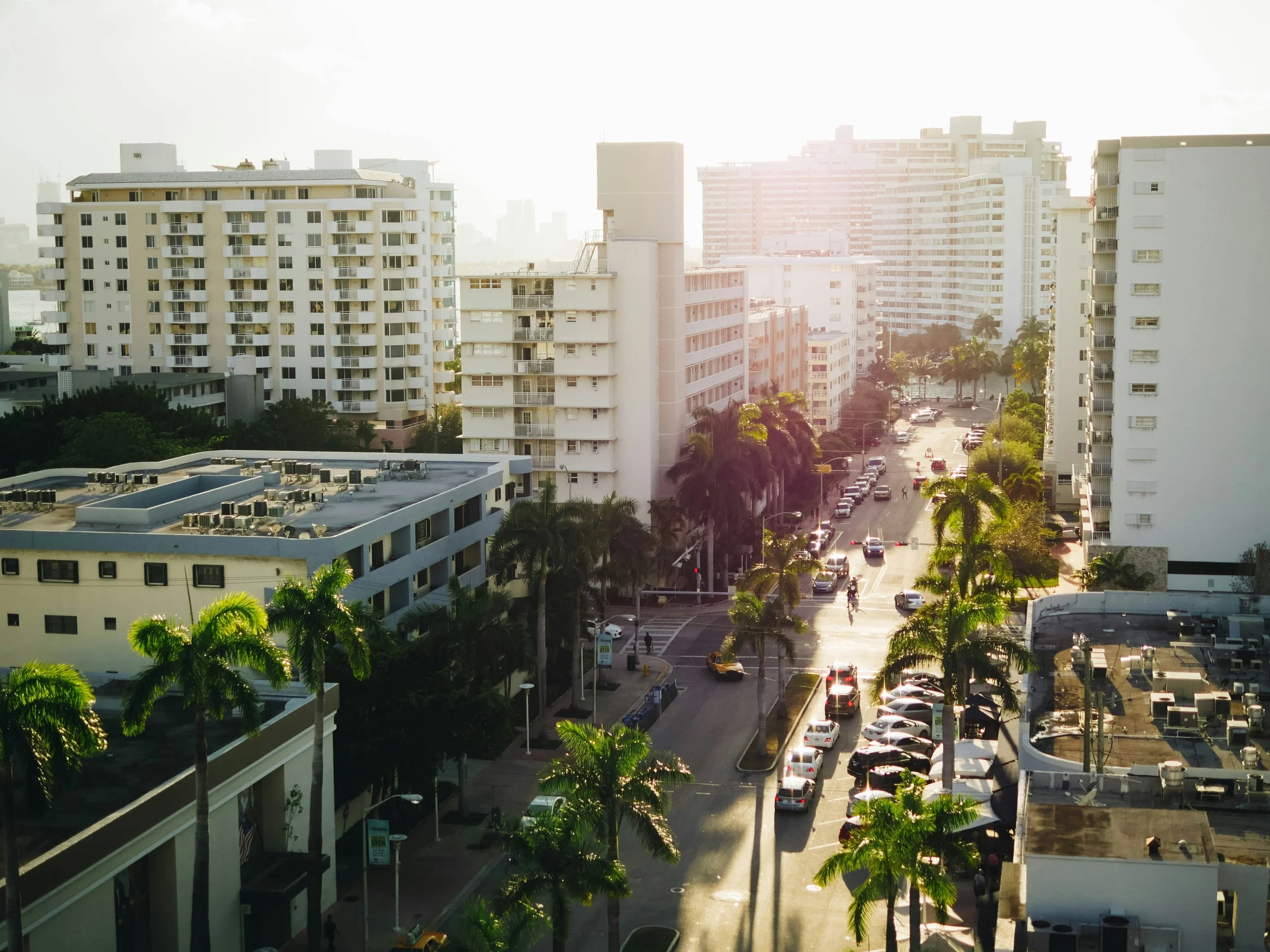 Sunlight over a city street lined with palm trees, tall white buildings, and parked cars.