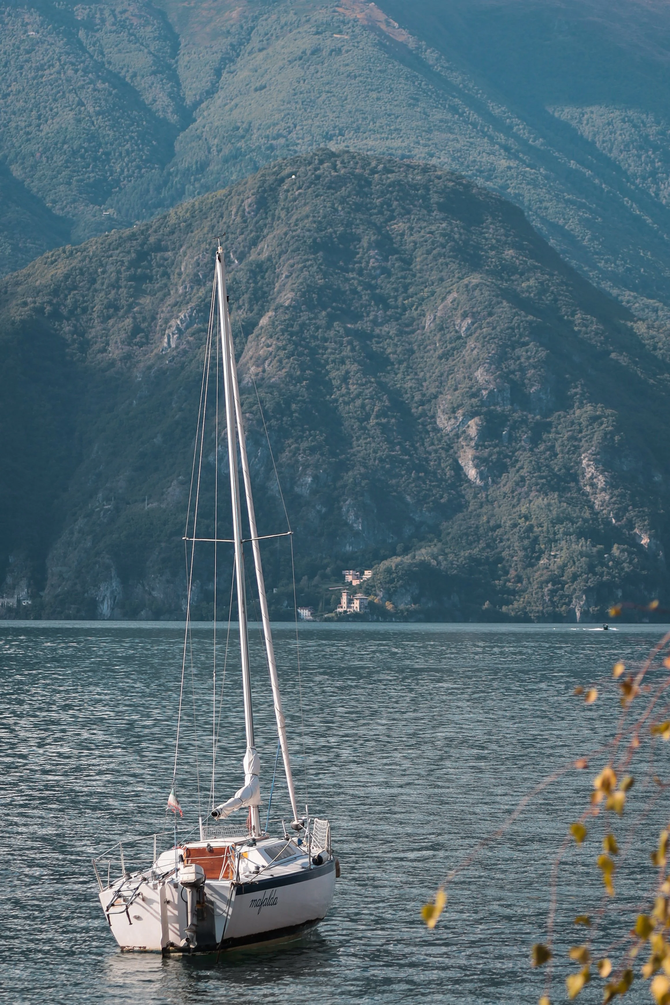 Sailboat on a calm lake with mountainous background and some foliage in the foreground.
