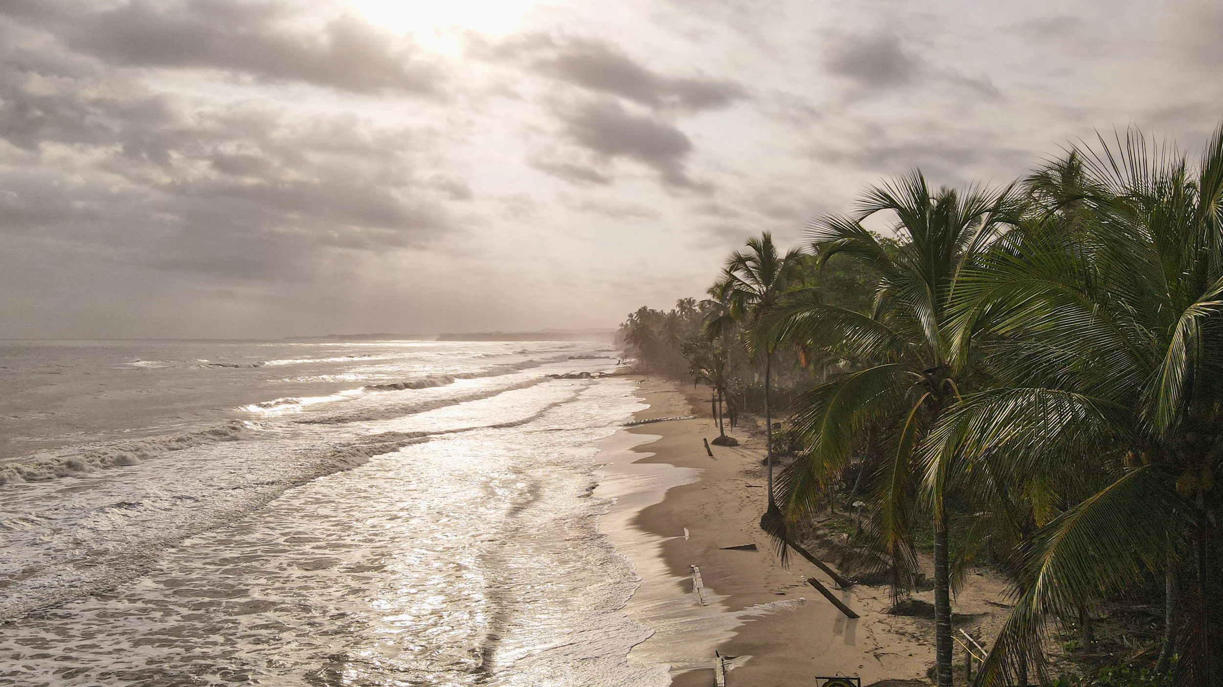 A beach scene with overcast skies, waves crashing onto the sandy shore, and palm trees lining the coast.