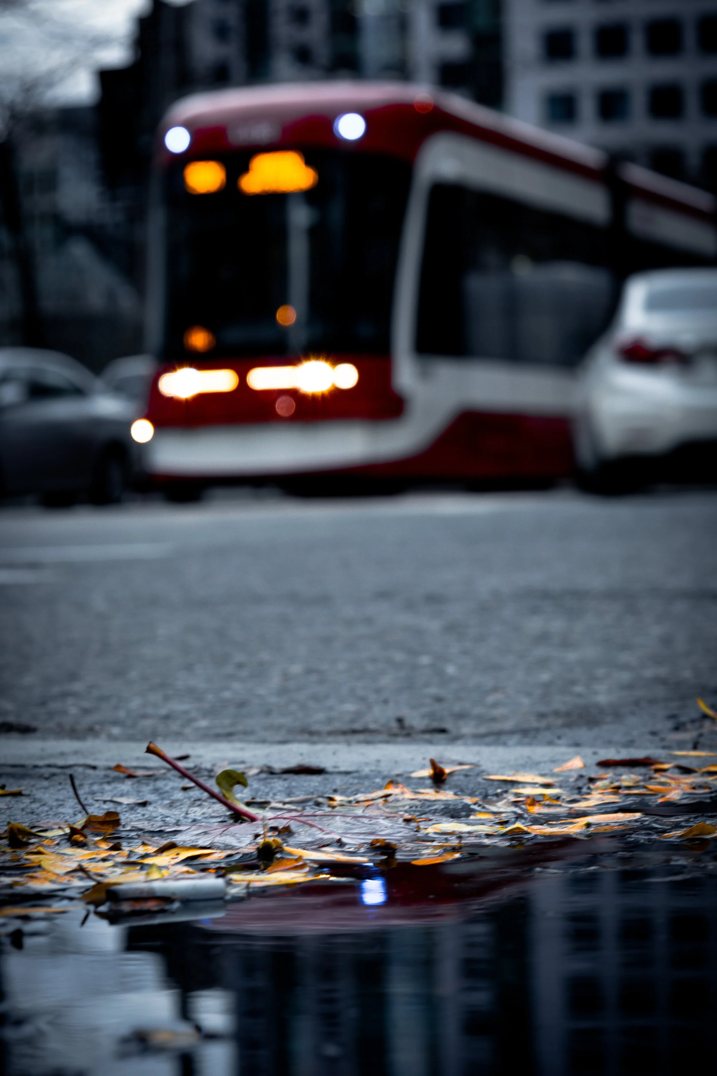 A blurred city street scene with a red and white streetcar in the background and wet pavement with fallen autumn leaves in the foreground.
