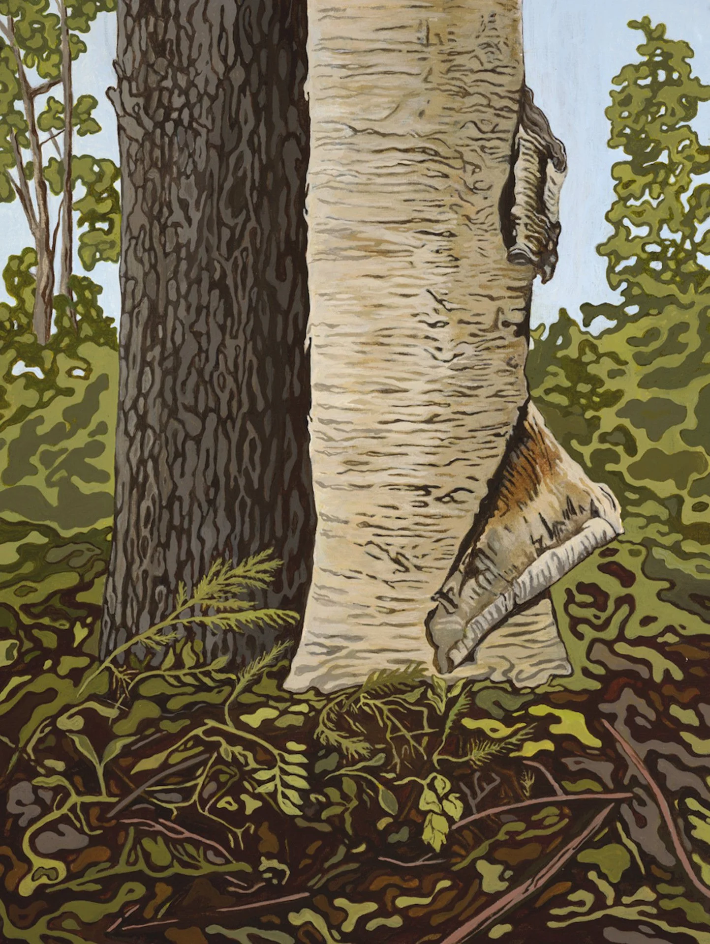 Red Spruce and Yellow Birch, 16" x 12", acrylic on paper - temporarily on hold