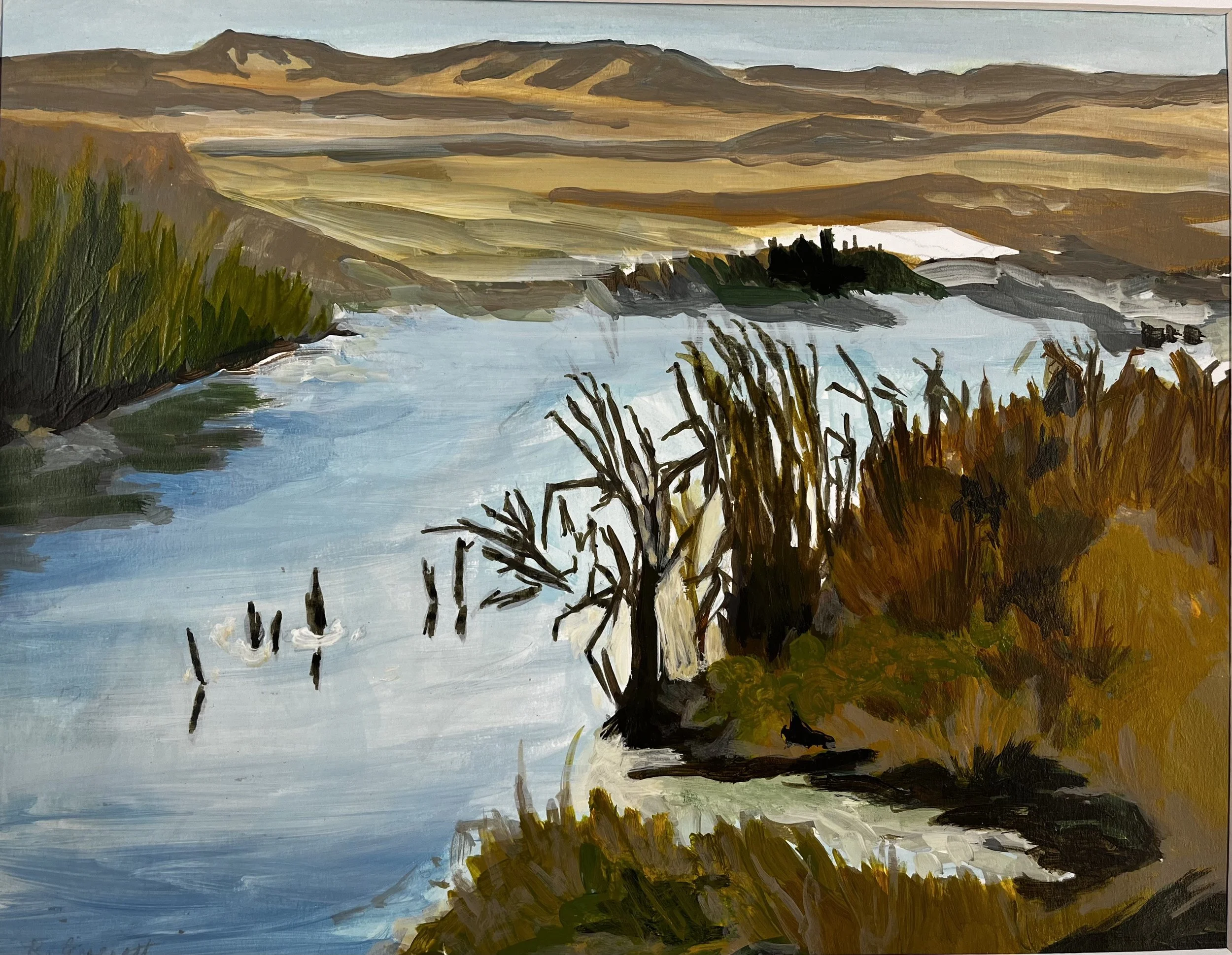 Niobrara River, 10.5" x 13.5", acrylic on paper - available