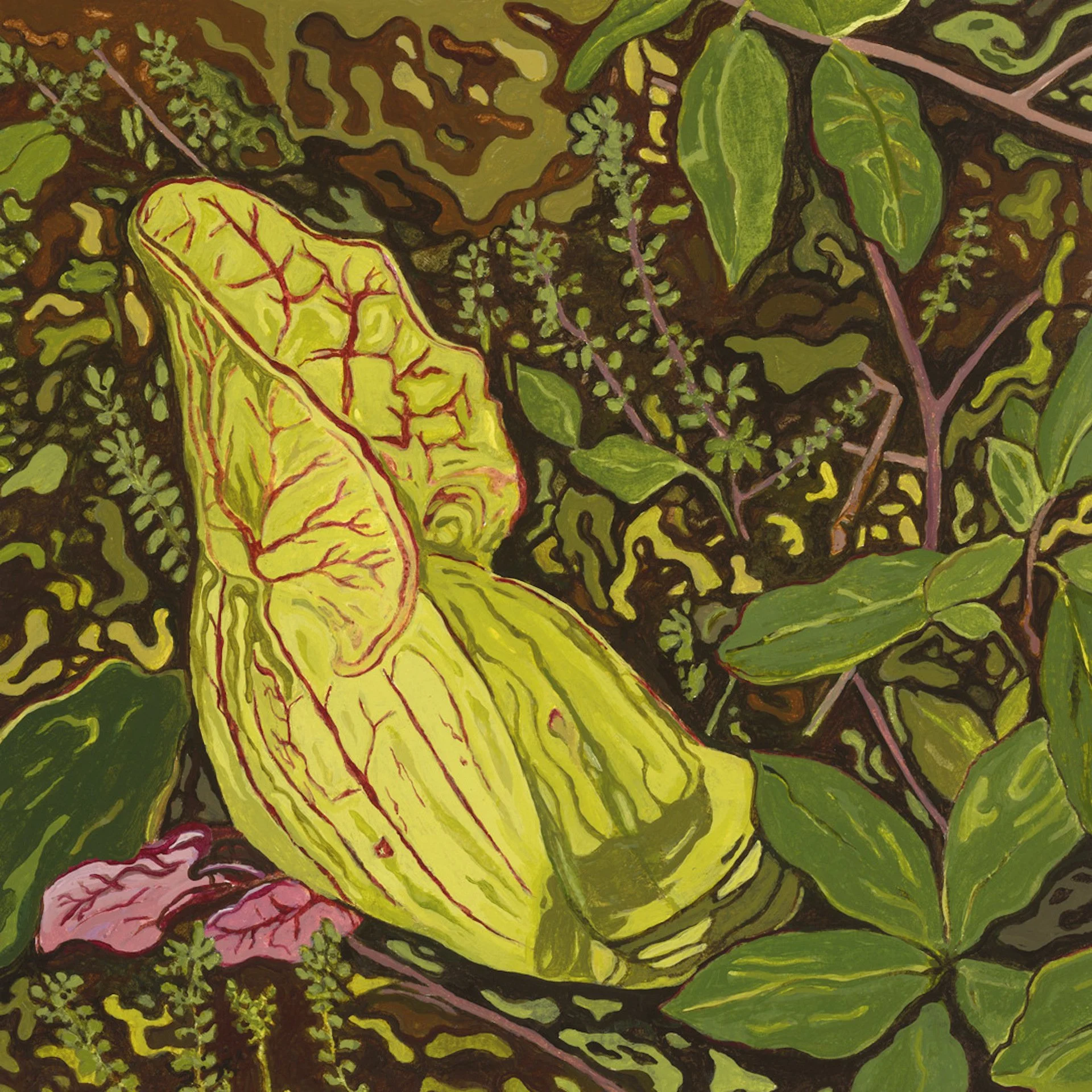 Sarracenia purpurea (green phase), 9" x 9", acrylic on paper - temporarily on hold