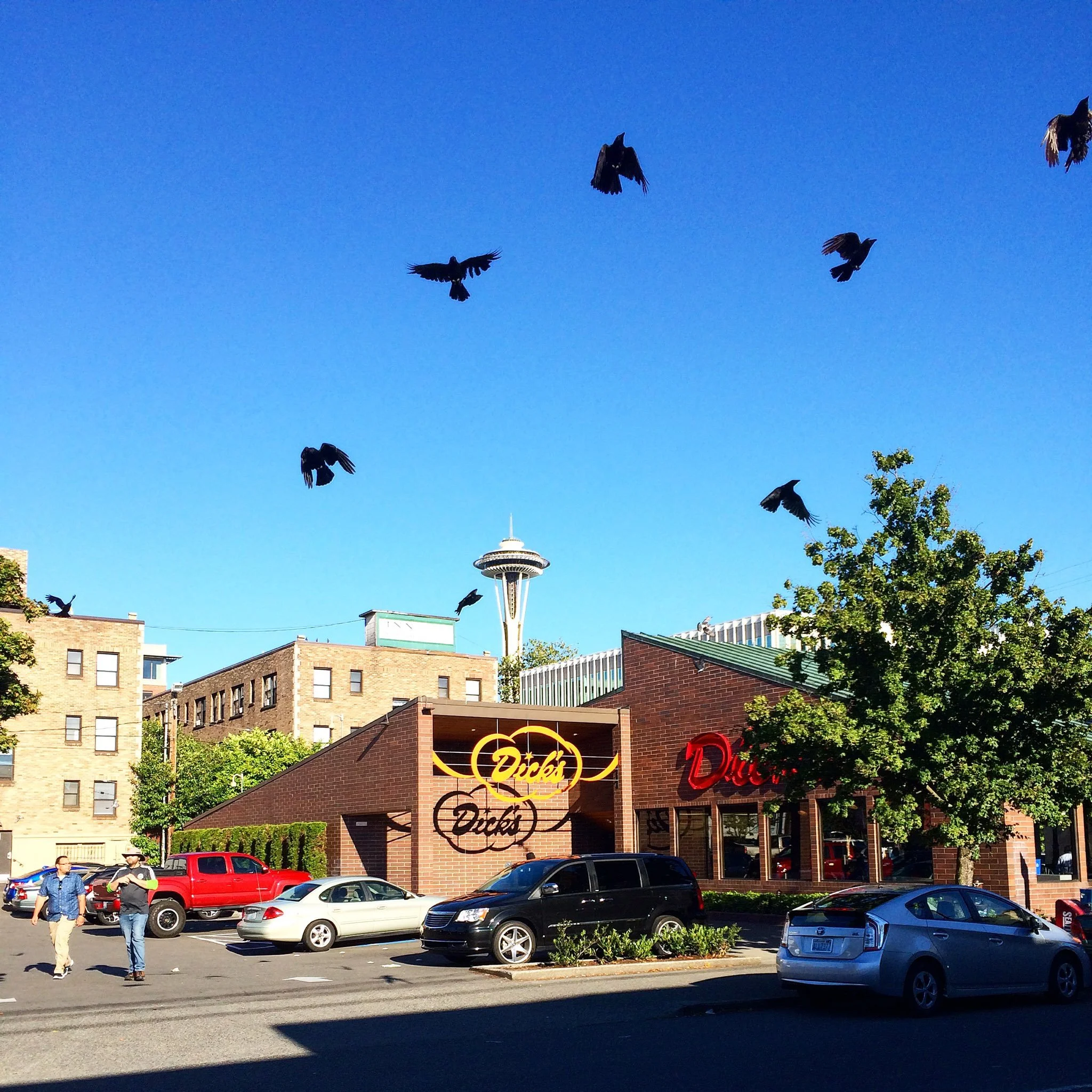 DDIR QA Birds.jpeg