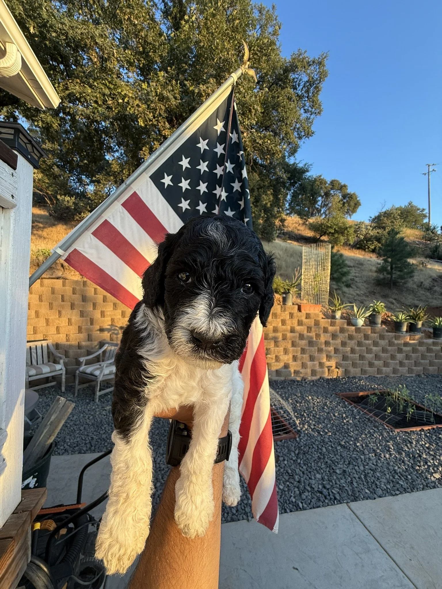 B&W Male (small).JPEG